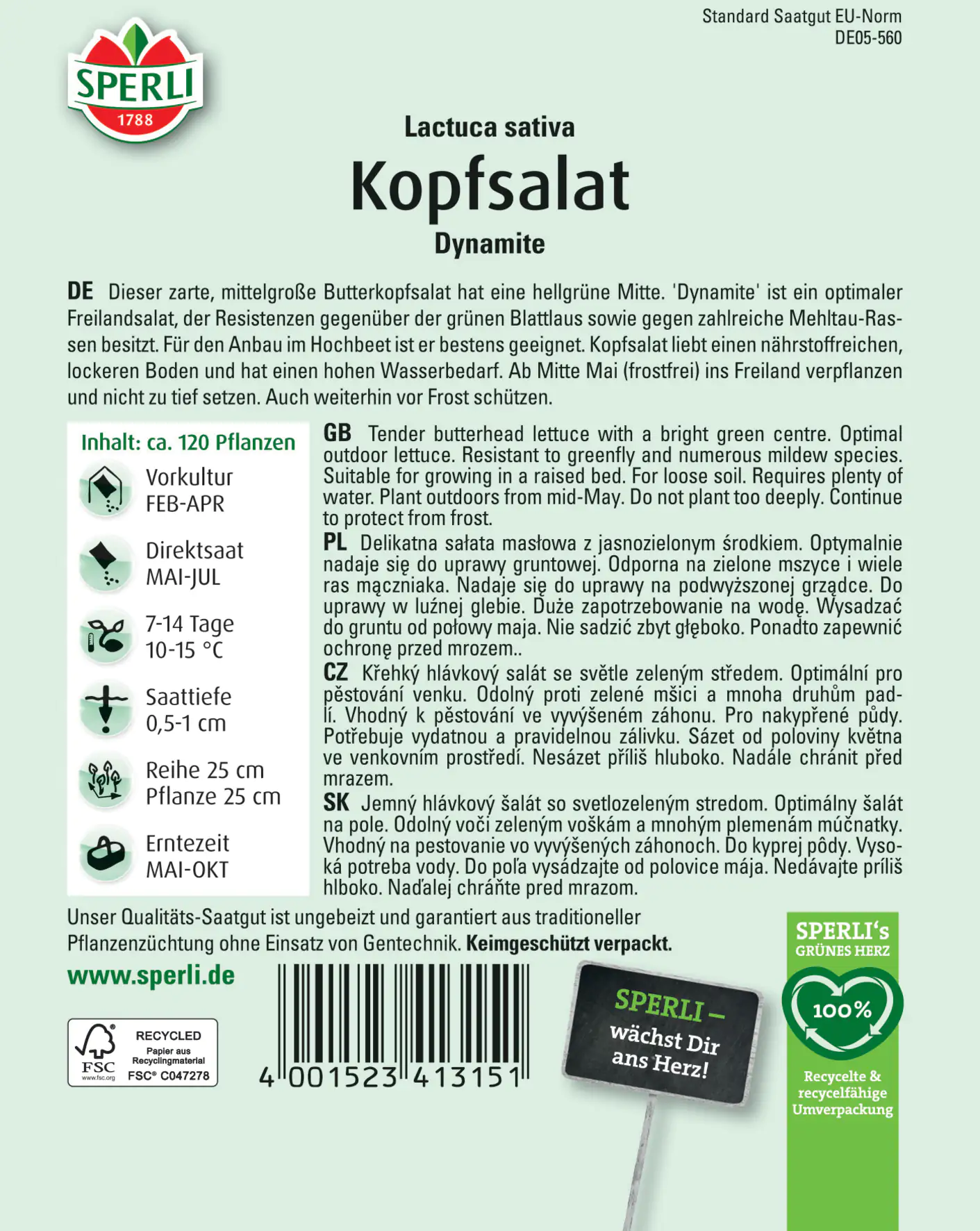 Sperli Kopfsalat Dynamite Sperli Kopfsalat Dynamite