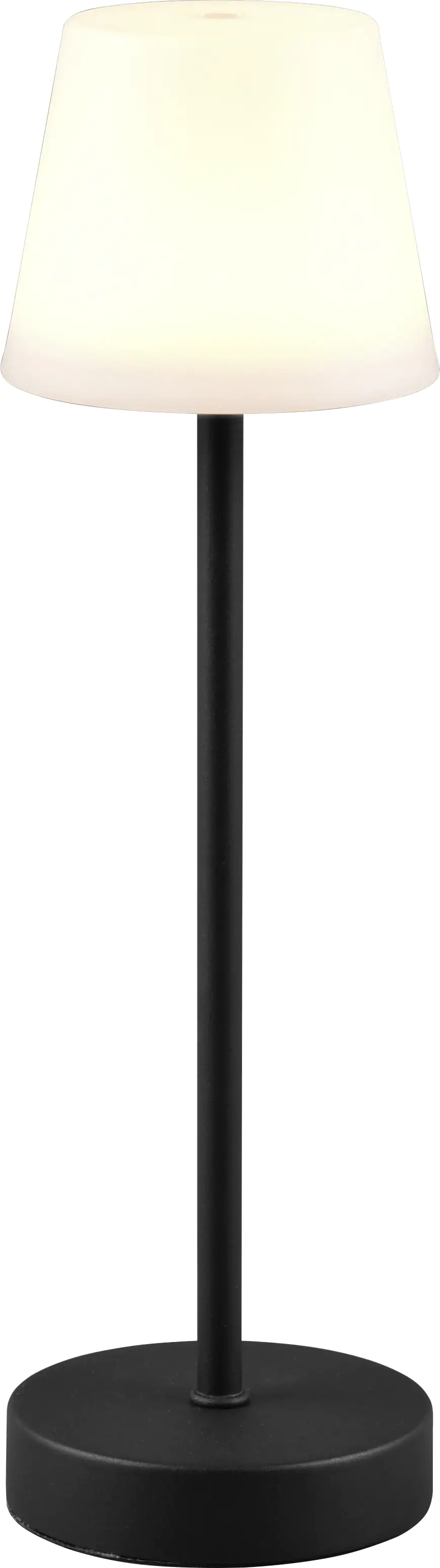 Reality Leuchten LED Akku-Tischleuchte Martinez schwarz 39 cm TW