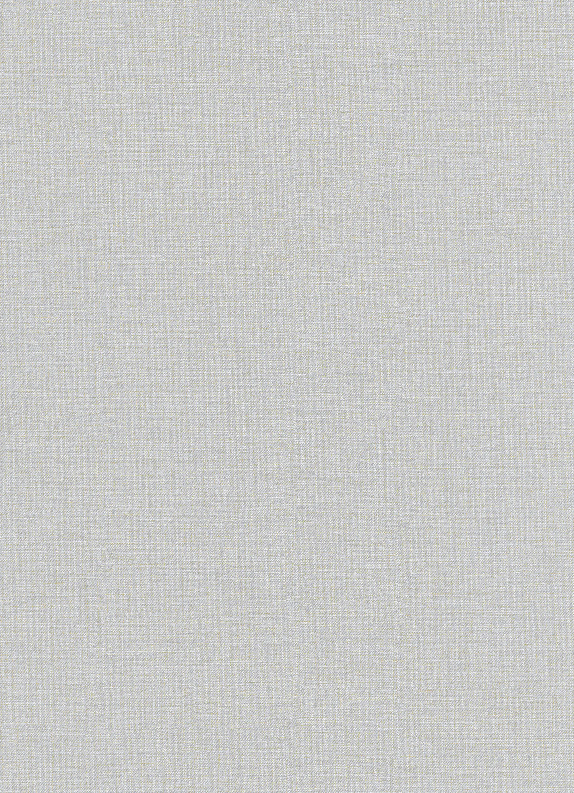 Erismann Vliestapete 5414-31 Hacienda grafisch hellgrau 10,05 x 0,53 m