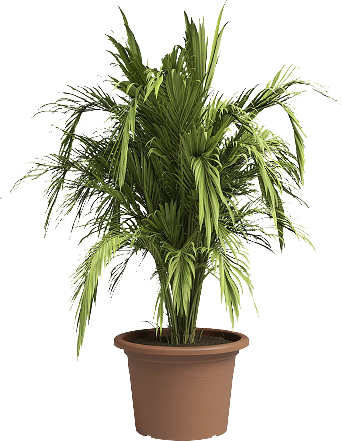 Artevasi Pflanztopf Venezia Cilindro Kunststoff terrakotta matt Ø 25 x 18 cm