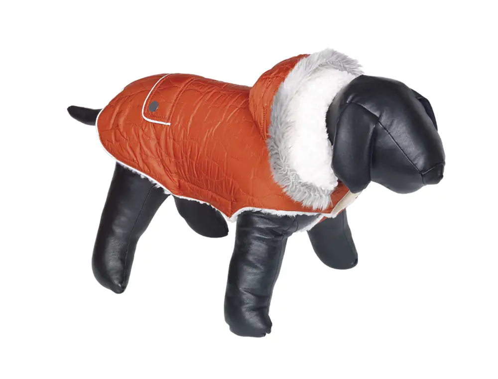 4033766641831 Nobby Hundemantel  Polar