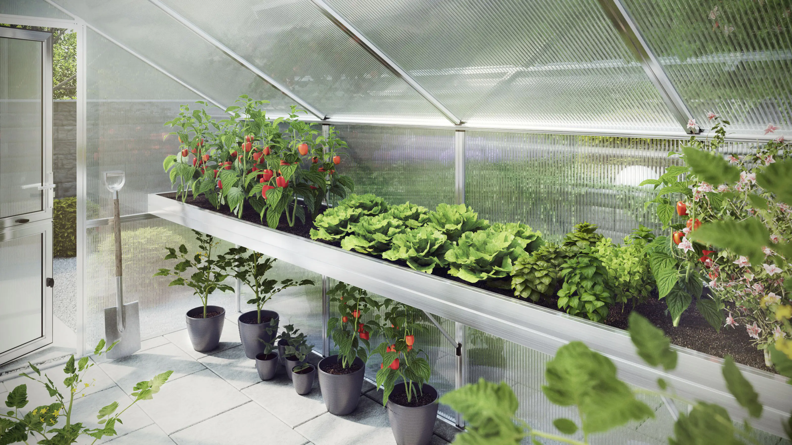 KGT Pflanzwanne Orchidee IV KGT Pflanzwanne Orchidee IV