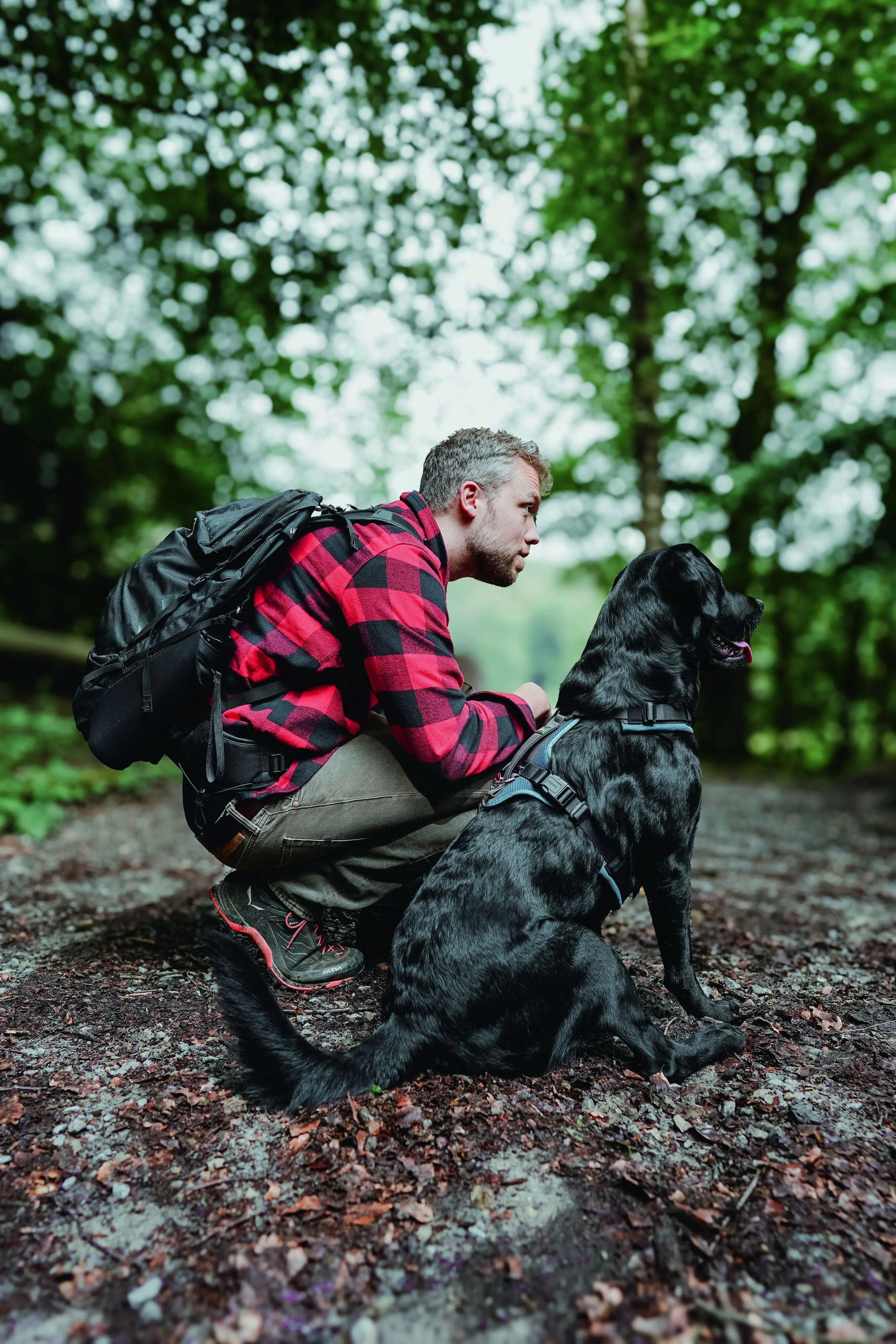 Hunter Hundegeschirr Maldon Up mit Griff S-M petrol/grau