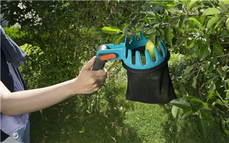 Gardena Obstpflücker combisystem inkl. Teleskopstiel Gardena Obstpflücker combisystem inkl. Teleskopstiel