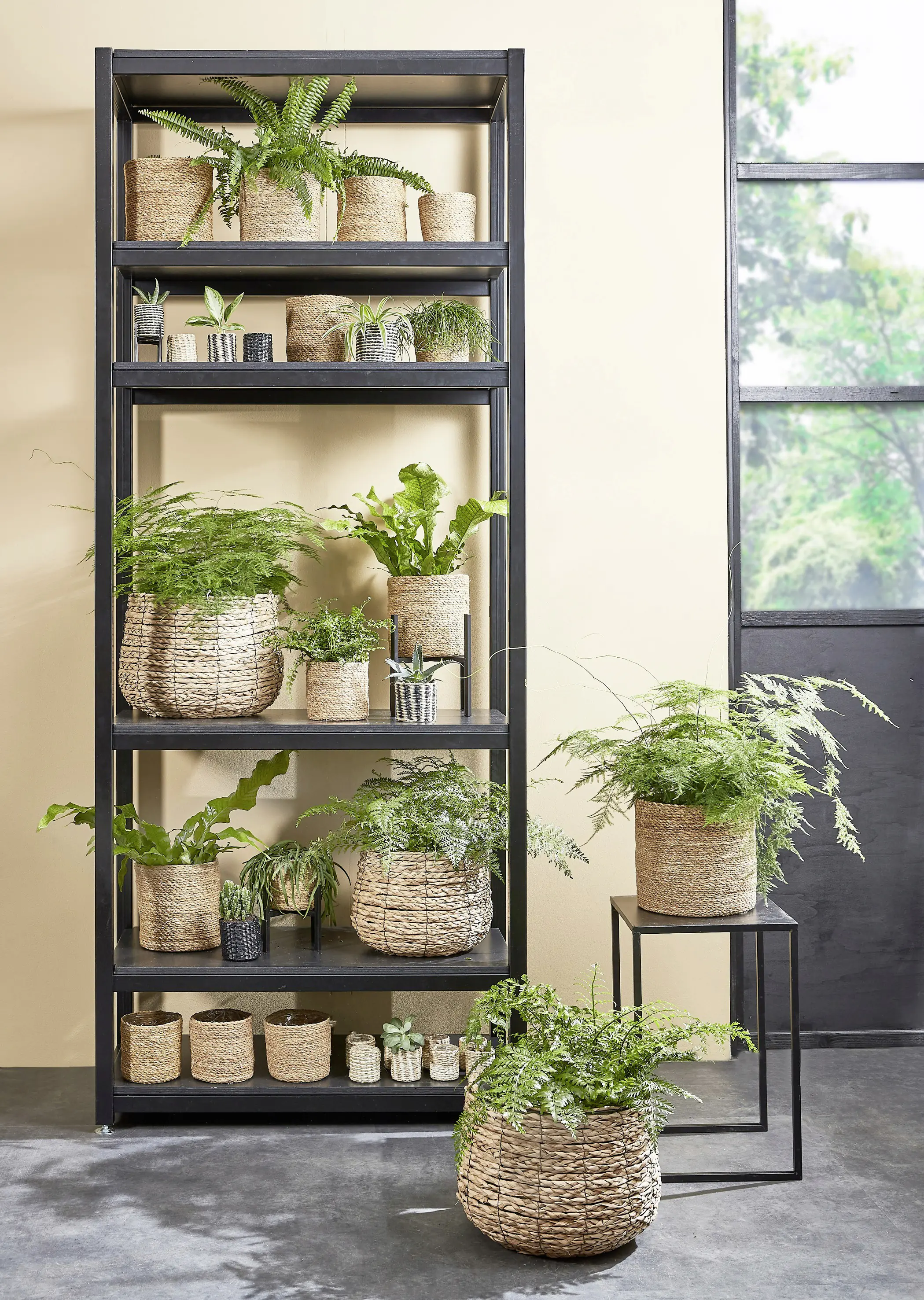 Mica Übertopf Korb Avalon Ø 18 x 21 cm Seegras hellbraun