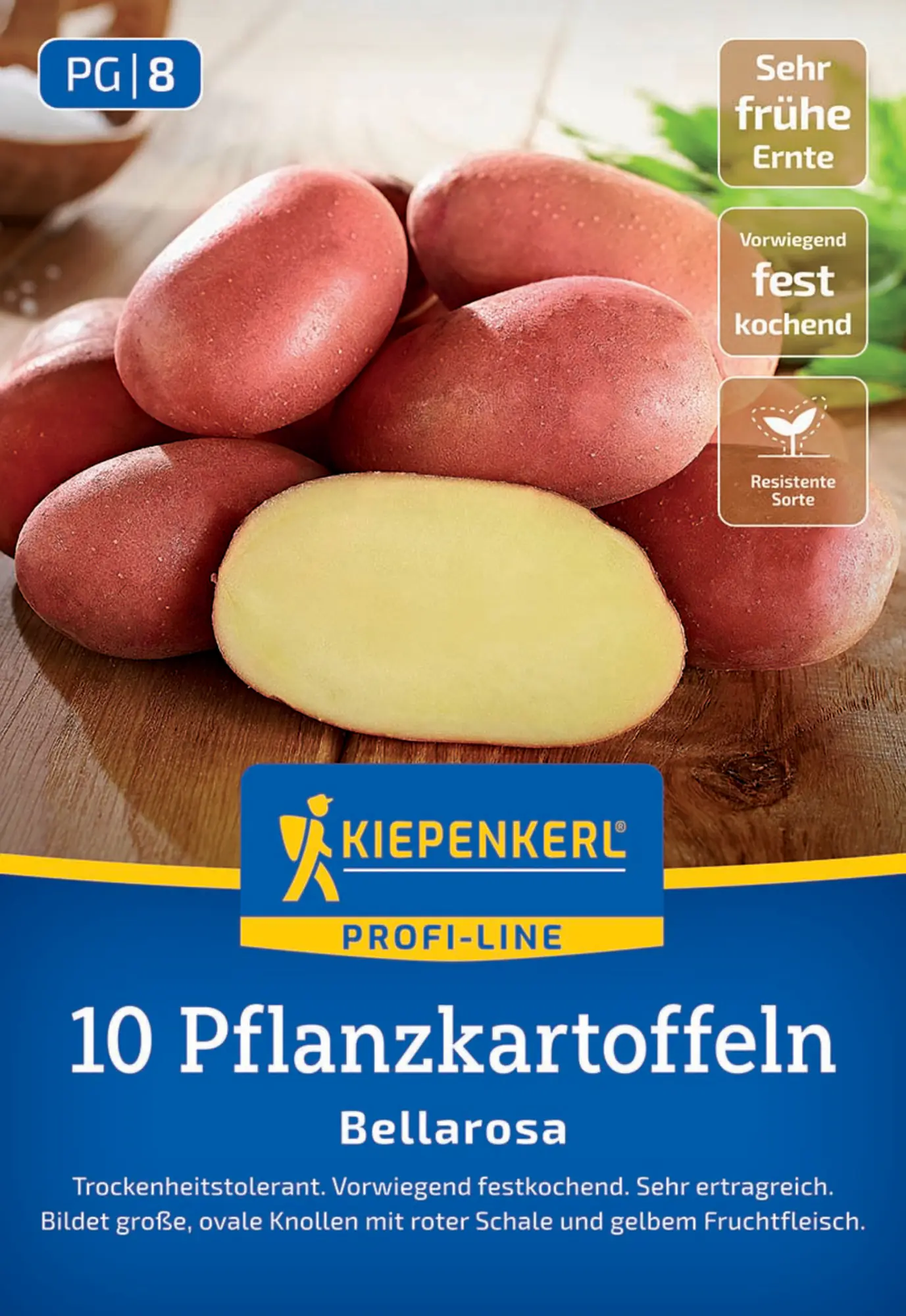 Kiepenkerl Pflanzkartoffel  Bellarosa 10 Stück