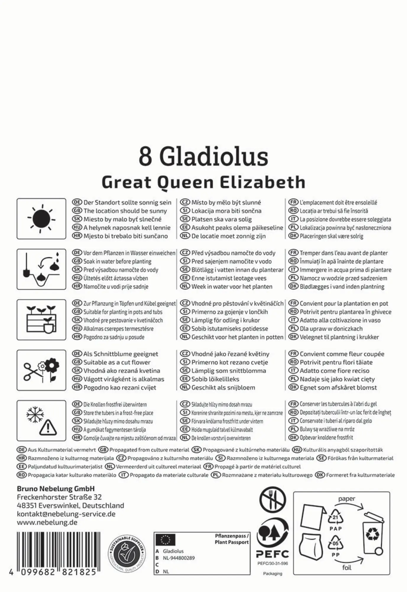 Kiepenkerl Frühjahrsblumenzwiebel Großblumige Gladiole The Great Queen Elisabeth 8 Stück