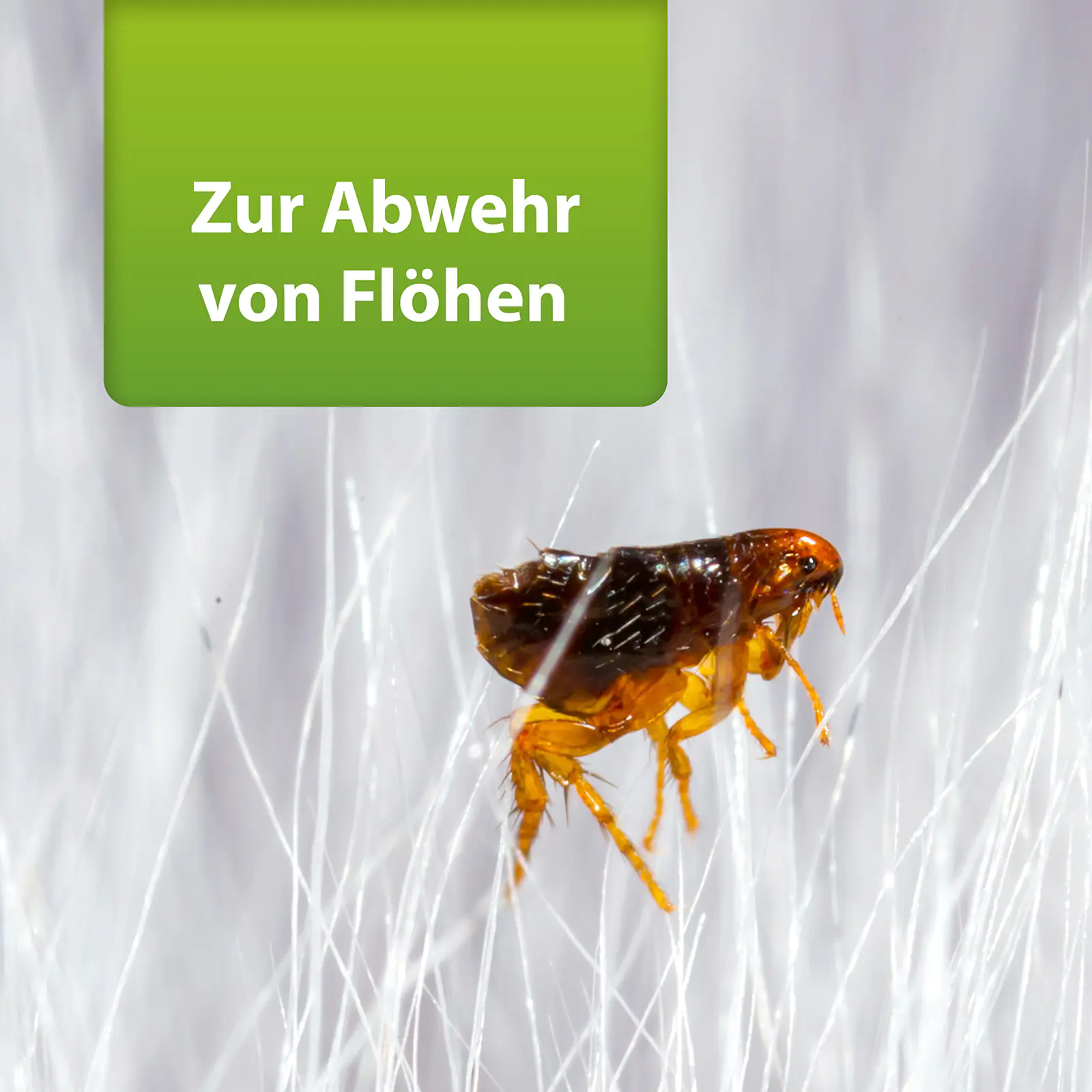 ARDAP Repell Flohspray 400 ml