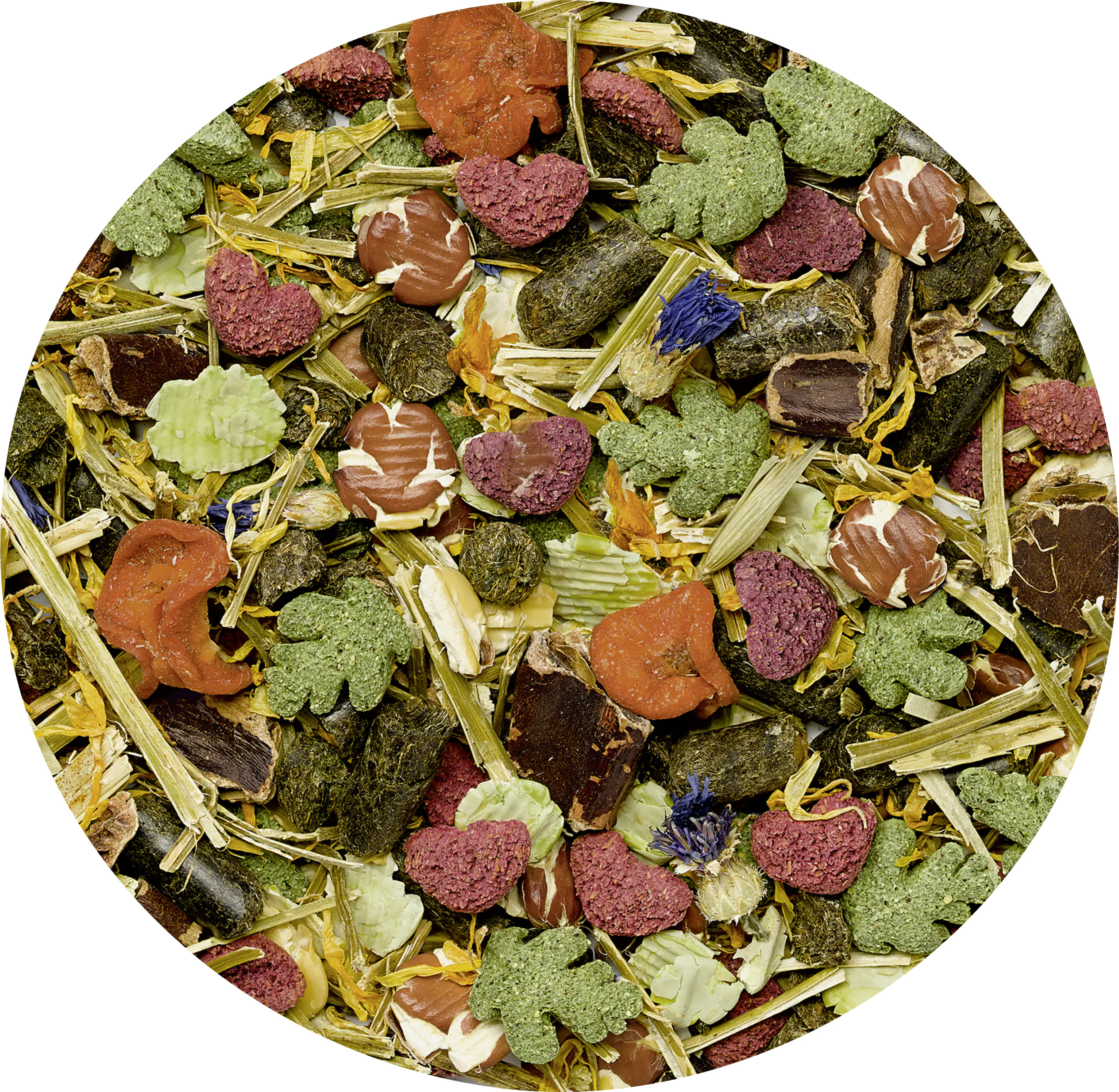 Vitakraft LIFE Wellness 600 g