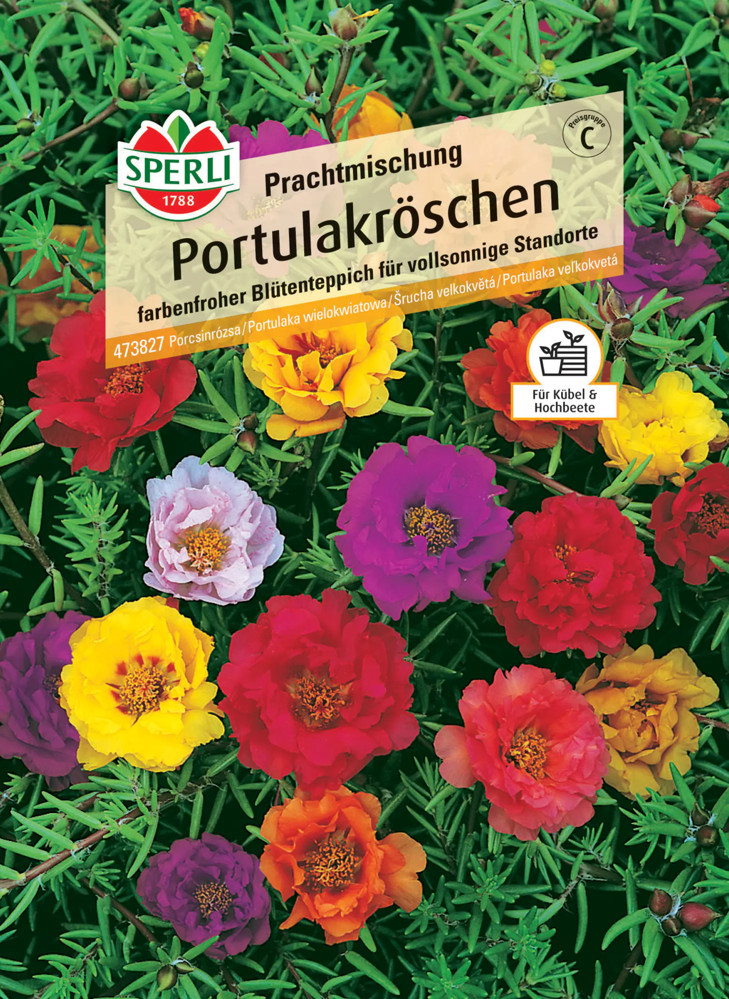Sperli Portulakröschen Prachtmischung