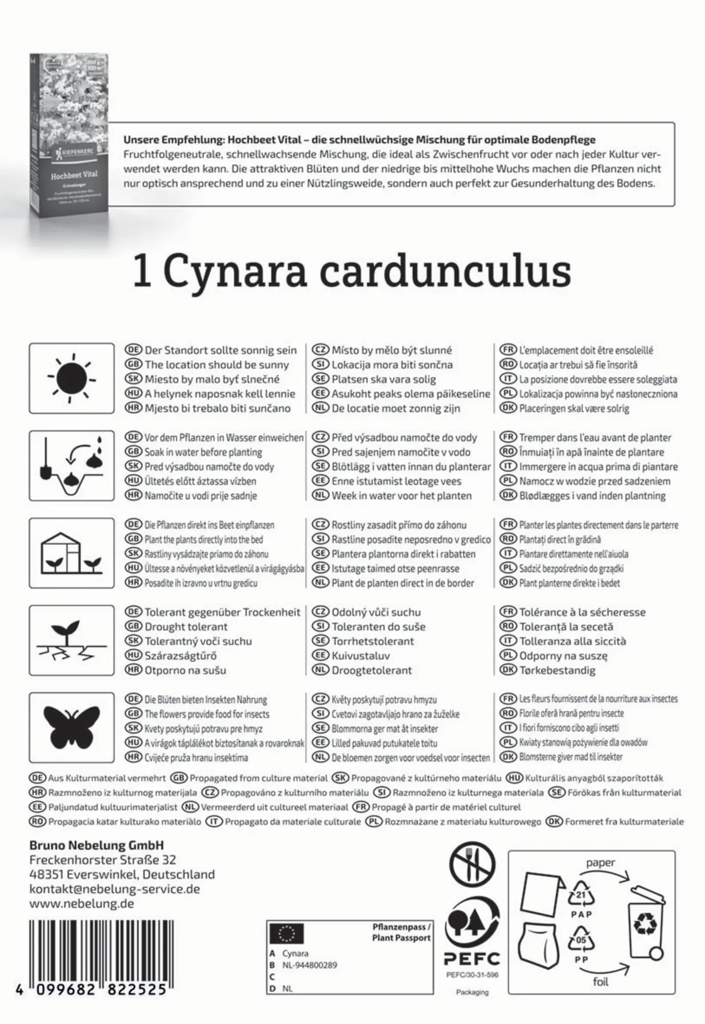 Kiepenkerl Pflanzgut Artischocke Cynara cardunculus 1 Stück