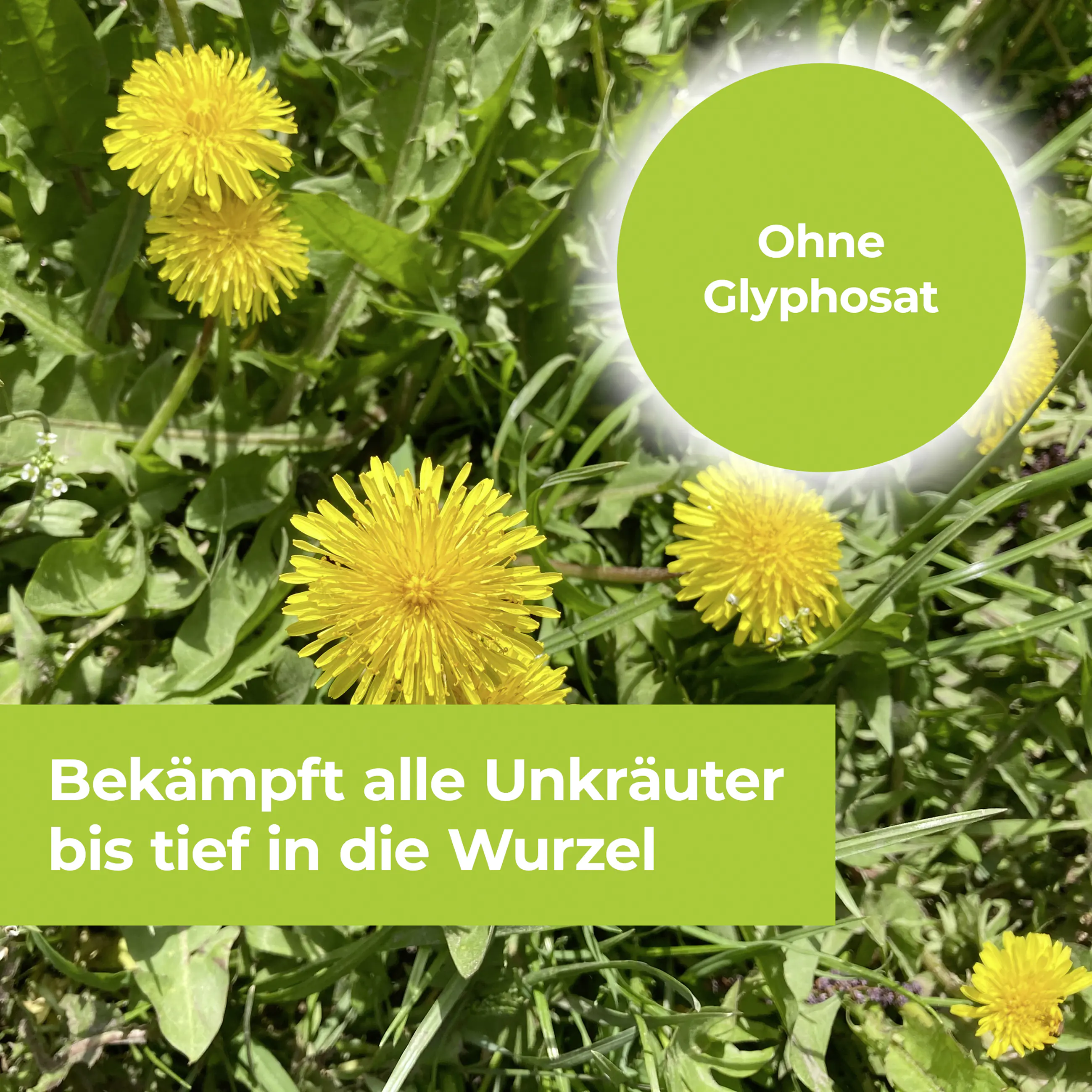 Protect Garden Permaclean Duo Unkraut & Wurzel-Ex 500 ml