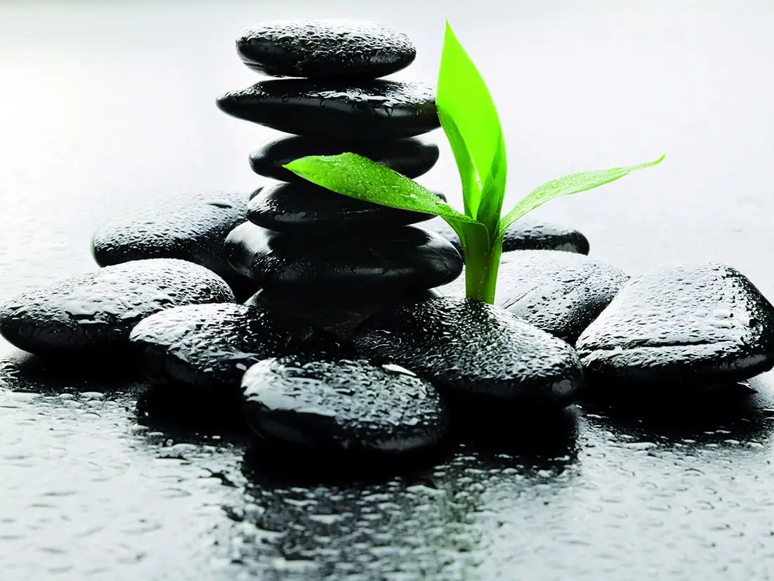 papermoon Vlies- Fototapete Digitaldruck 250 x 180 cm Black Stone