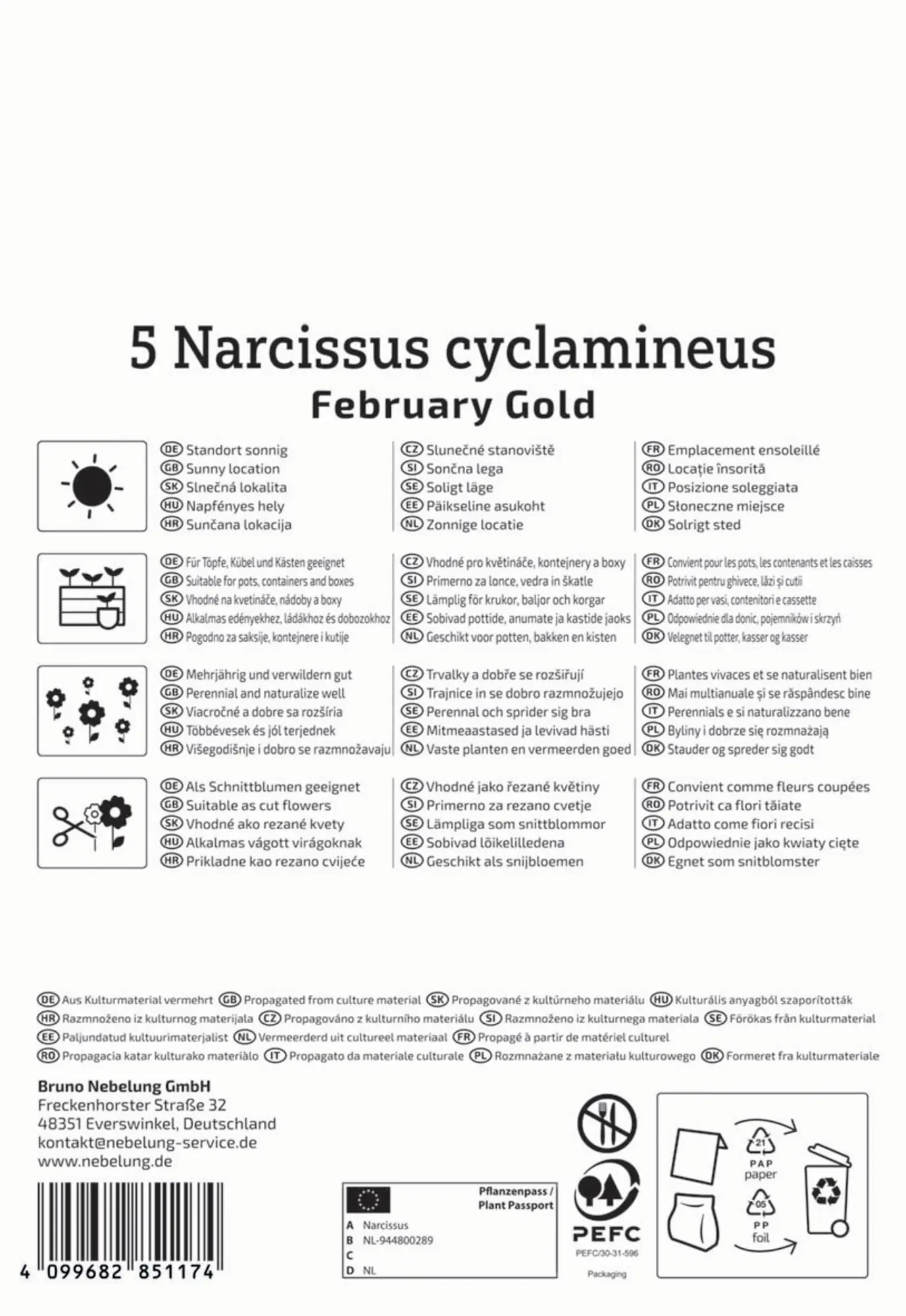 Kiepenkerl Herbstblumenzwiebel Alpenveilchen-Narzisse February Gold 5 Stück