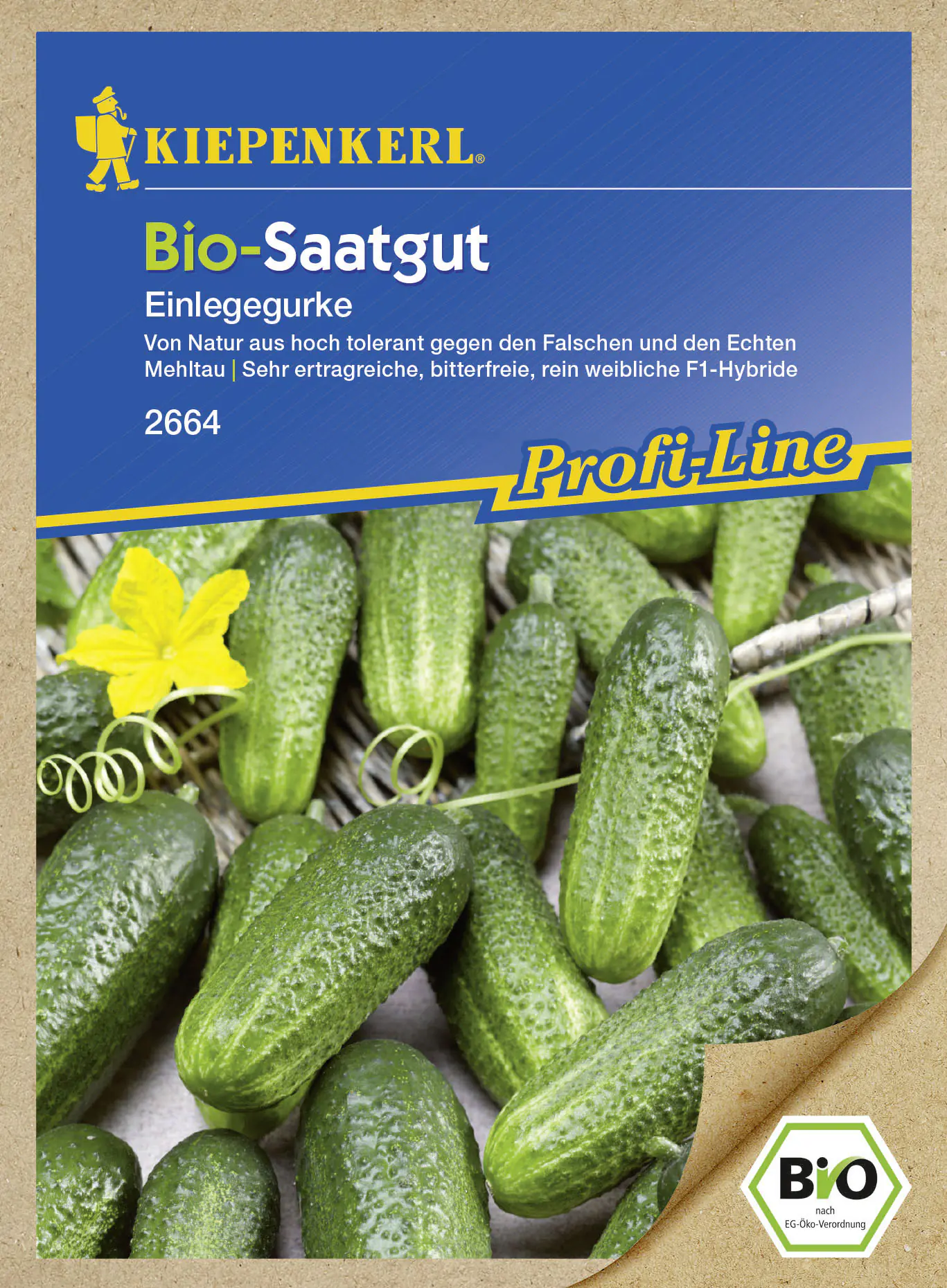 Kiepenkerl Bio-Saatgut Gurke Diamant Cucumis sativus, Inhalt: 14 Korn