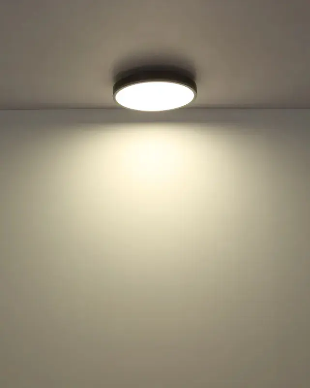 Globo Deckenleuchte Doro Ø 45 x 8,5 cm silber CCT