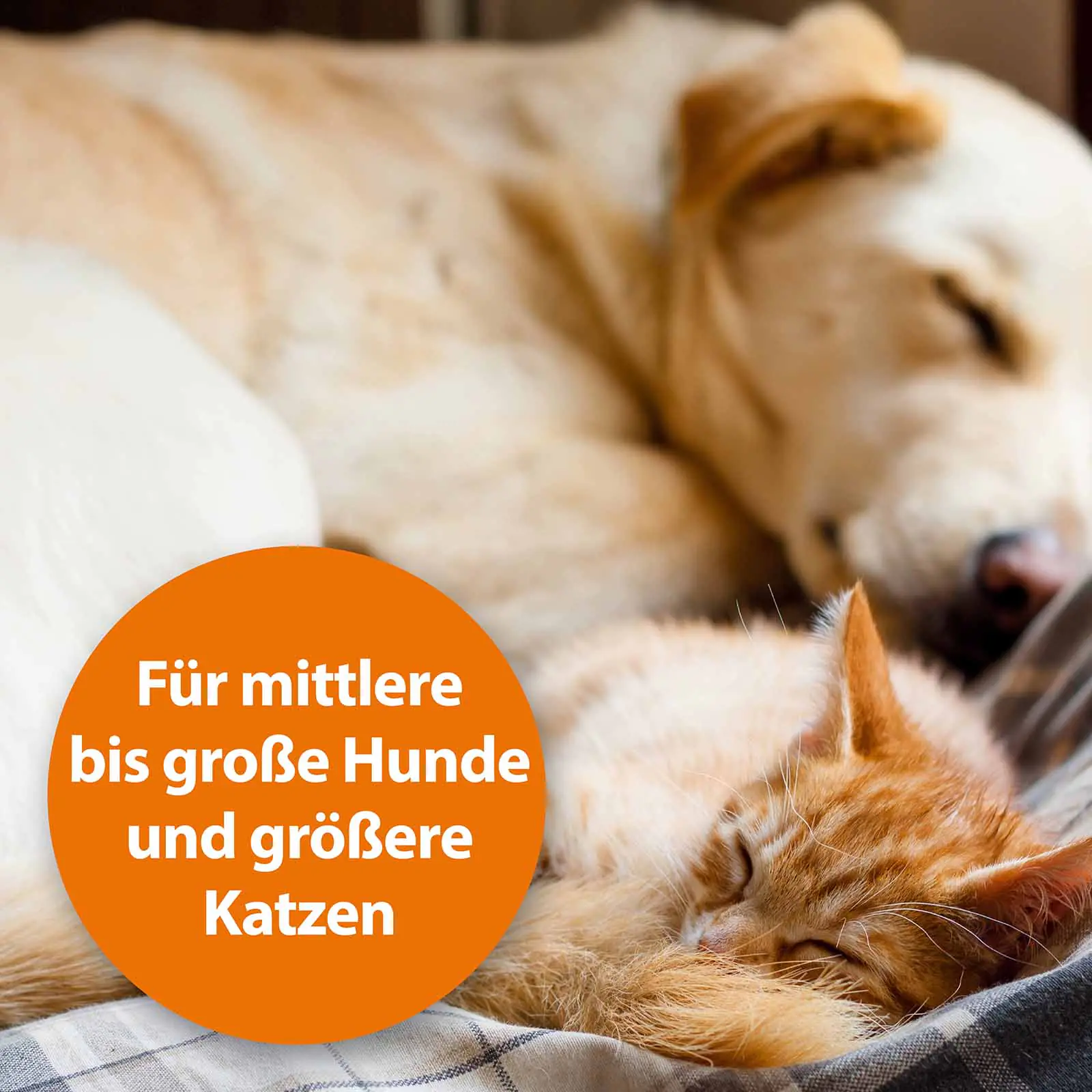 ARDAP Floh- und Staubkamm für Tiere