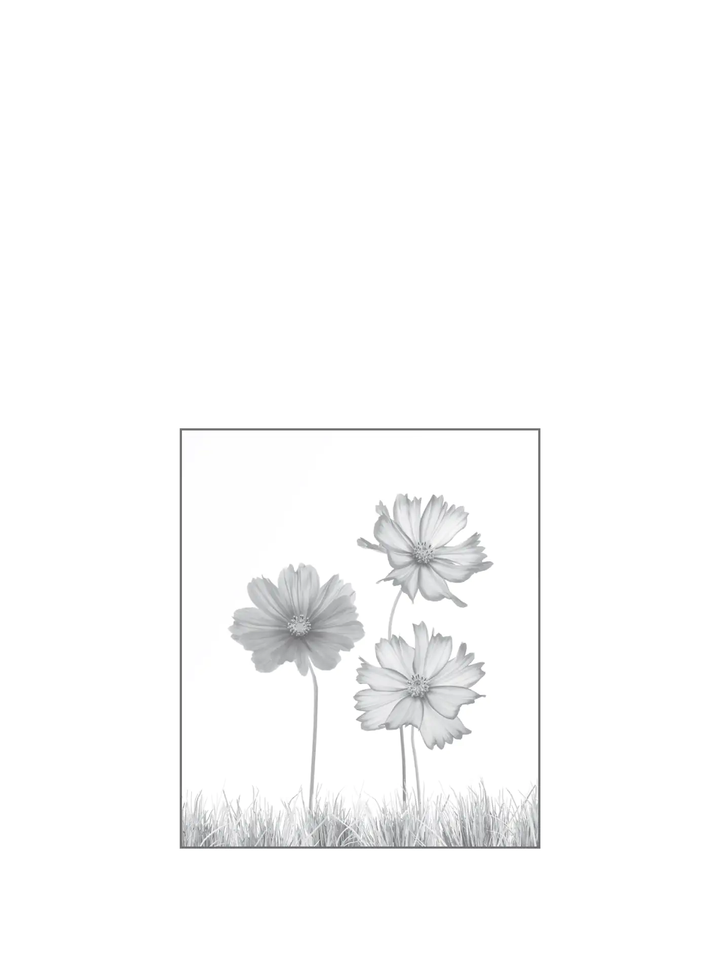 Ambiente Glaszaun Dekor 93 103 x 120 cm gehärtetes 8 mm Glas