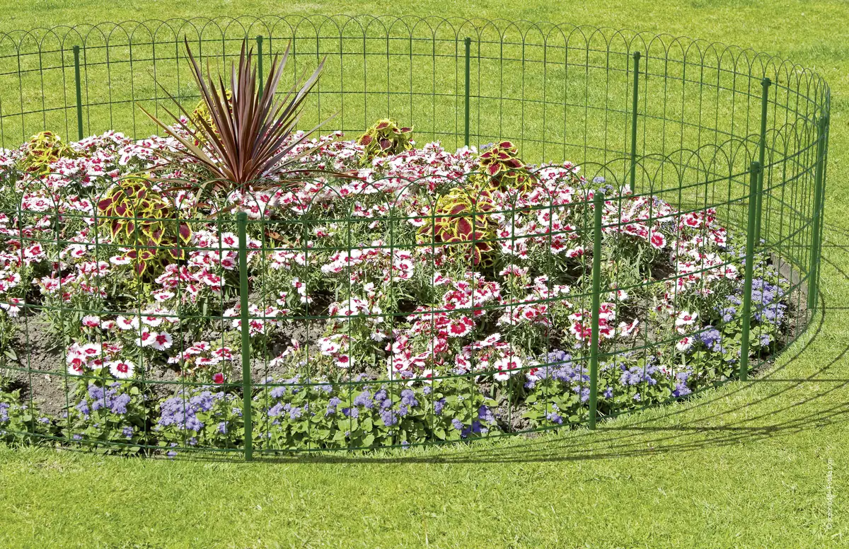 Alberts Ziergeflecht Rondo 10m 65 cm hoch grün