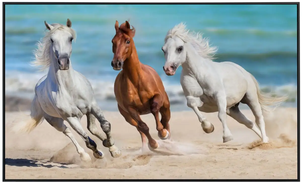 papermoon Infrarotheizkörper EcoHeat 90x120 cm 1200 Watt, Pferde im Galopp