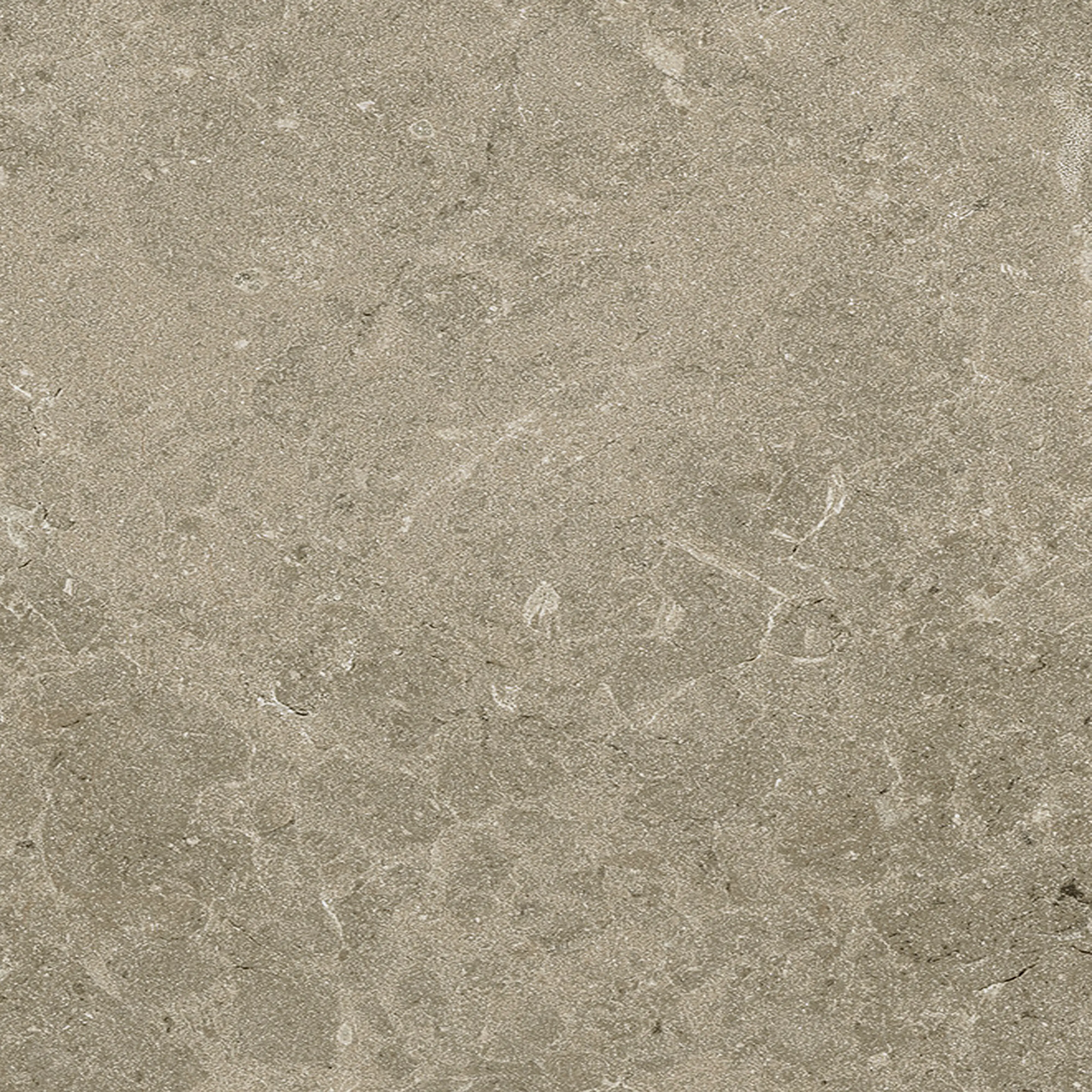 Terrassenplatte Botticino 60 x 60 cm Taupe Terrassenplatte Botticino 60 x 60 cm Taupe