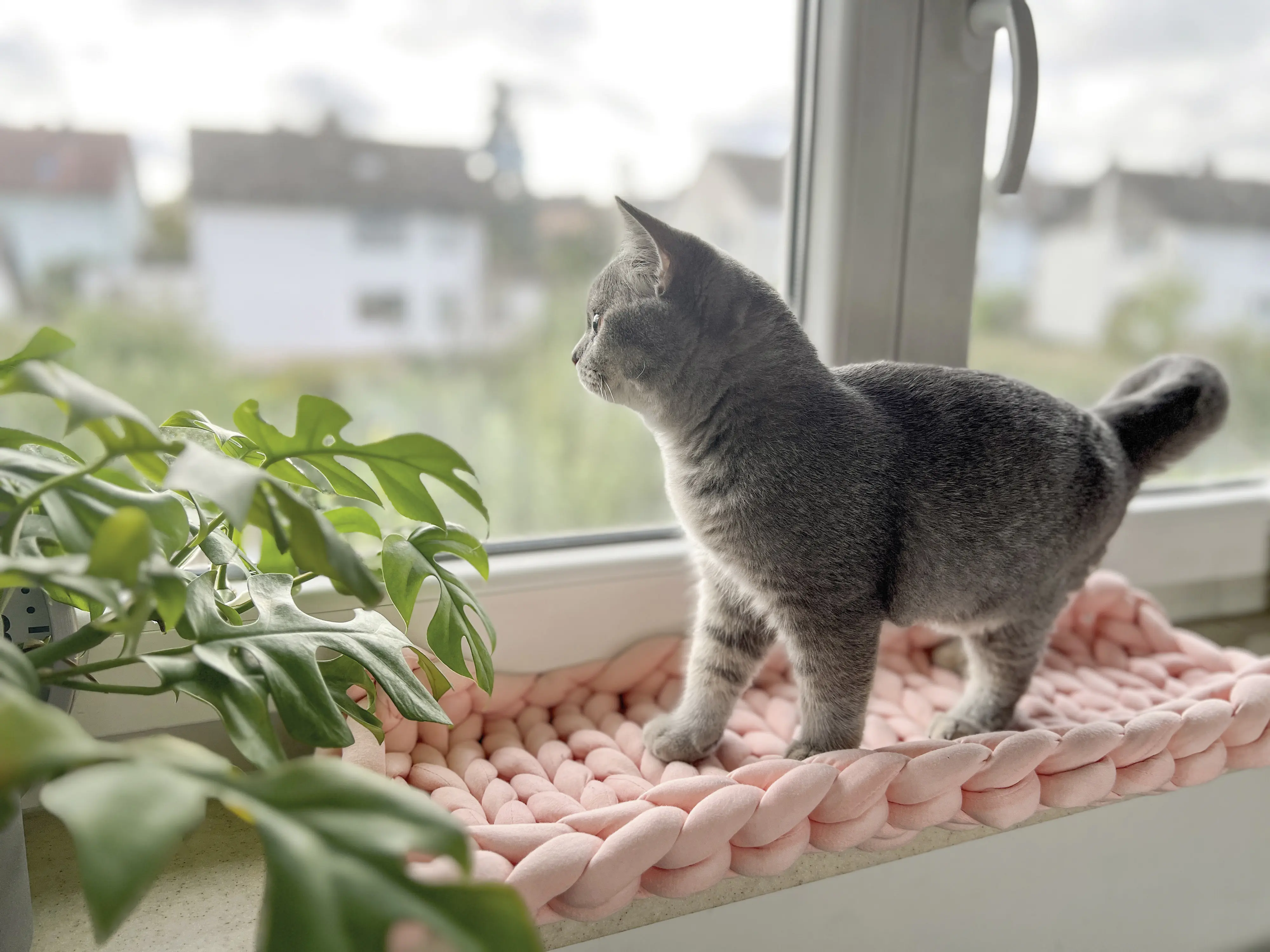 Aumüller Katzenbett XXL Grobstrick rose 66 x 25 x 6 cm