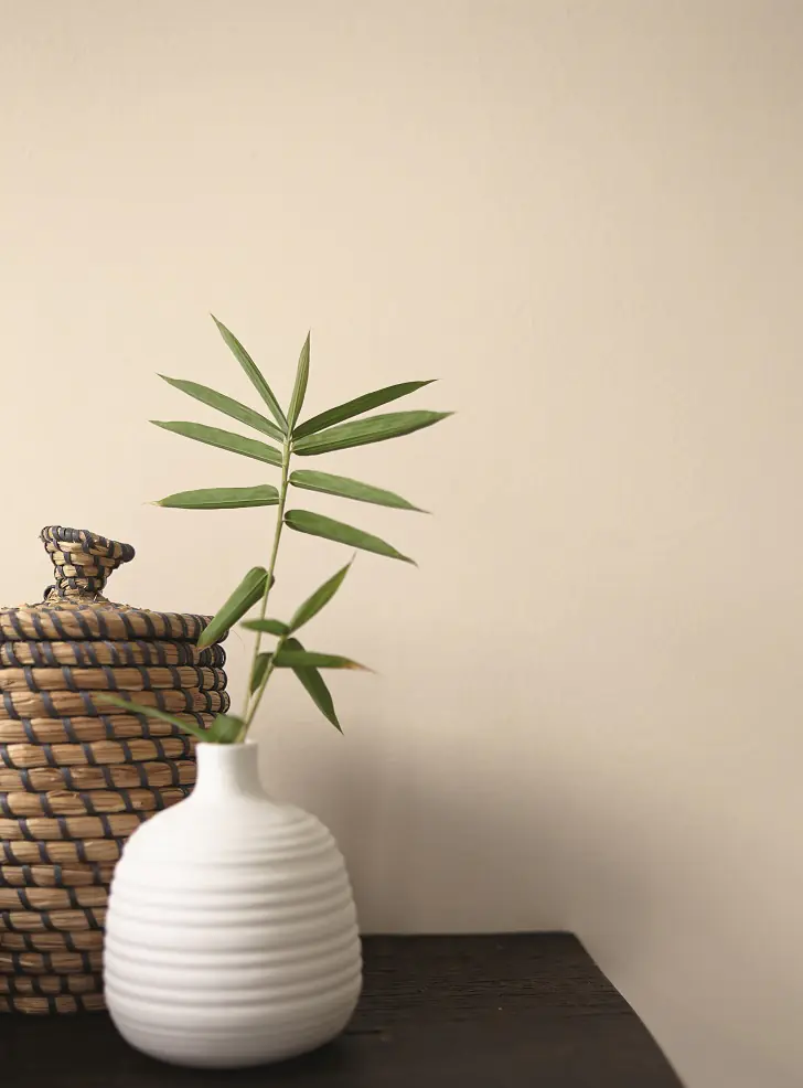 Alpina Feine Farben Wandfarbe No. 08 Elegante Gelassenheit - ruhiges hellbeige edelmatt 2,5 L