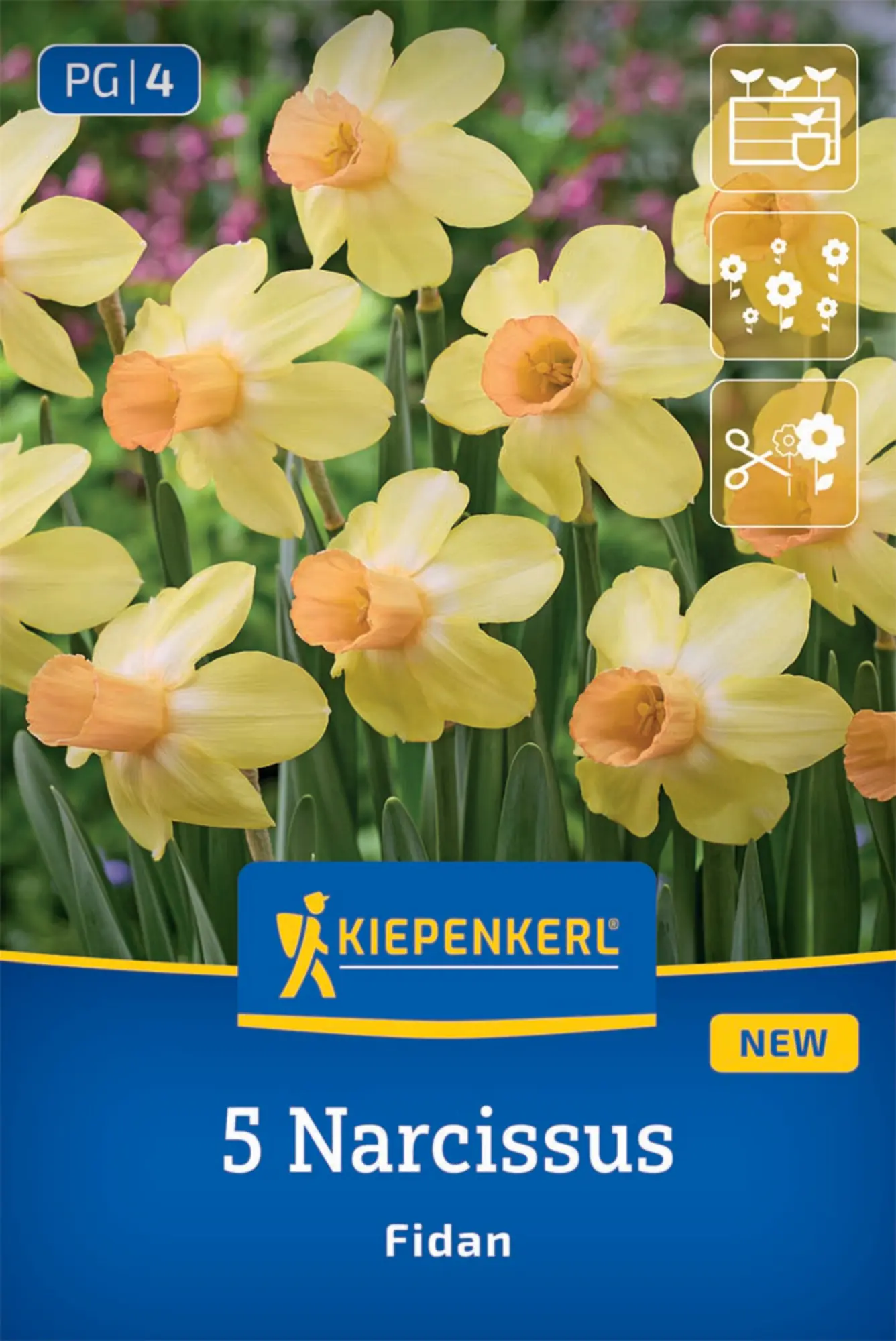Kiepenkerl Herbstblumenzwiebel Narzissen Fidan 5 Stück
