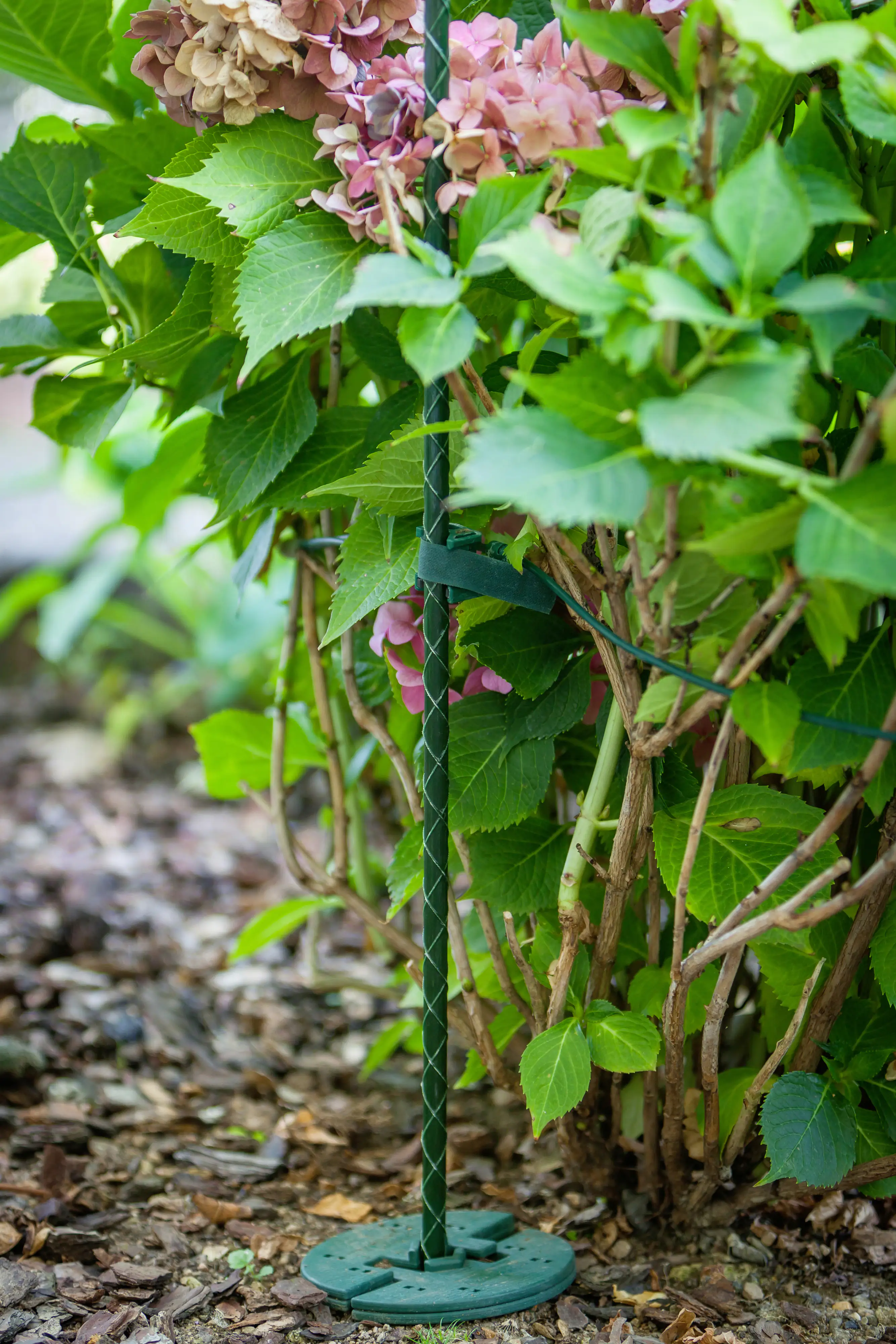 Pflanzstab 120cm Ø 8 mm