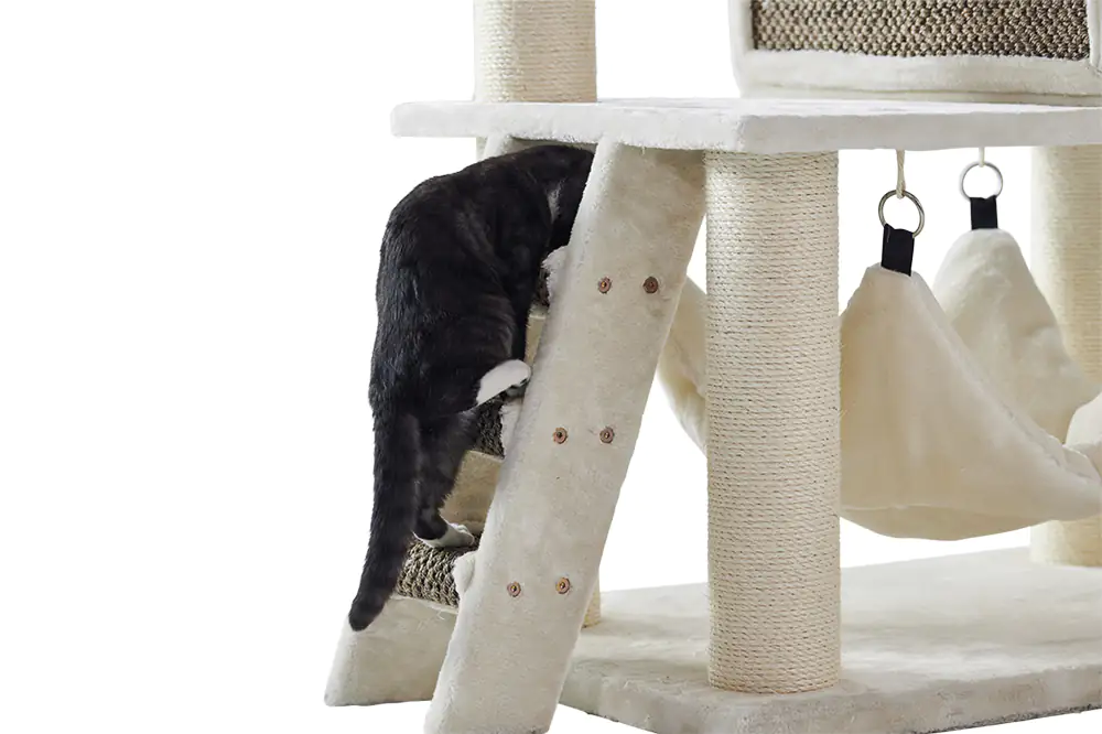 Nobby Kratzbaum Juan H 166 cm cream