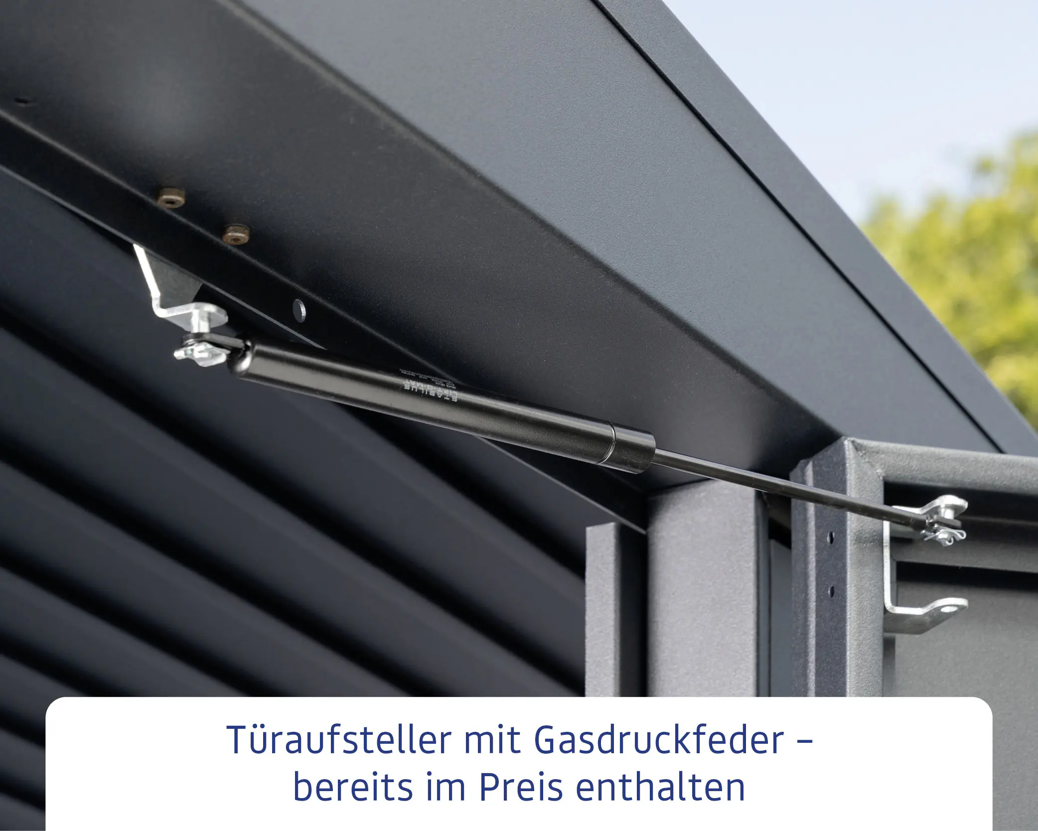 EcoStar Gerätehaus Elegant-P Typ 3 moosgrün 312,7 x 283,4 x 232,3 cm