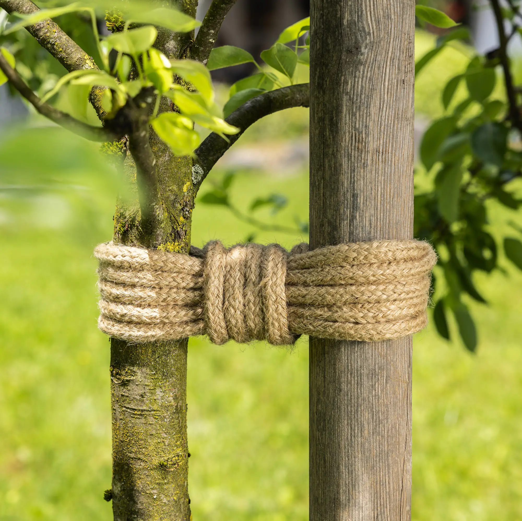 Windhager Jutestrick 5 m geflochten Windhager Jutestrick 5 m geflochten