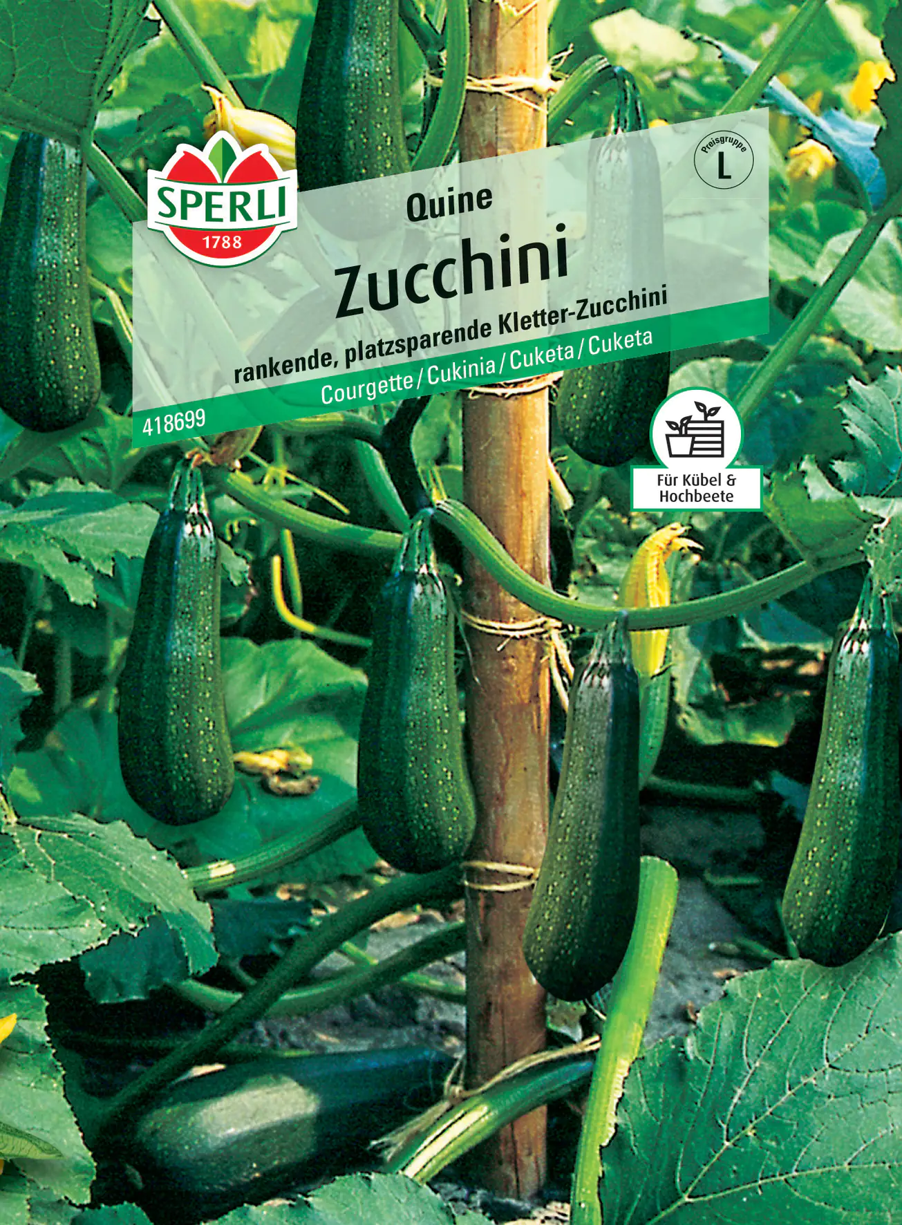 Sperli Zucchini Quine F1