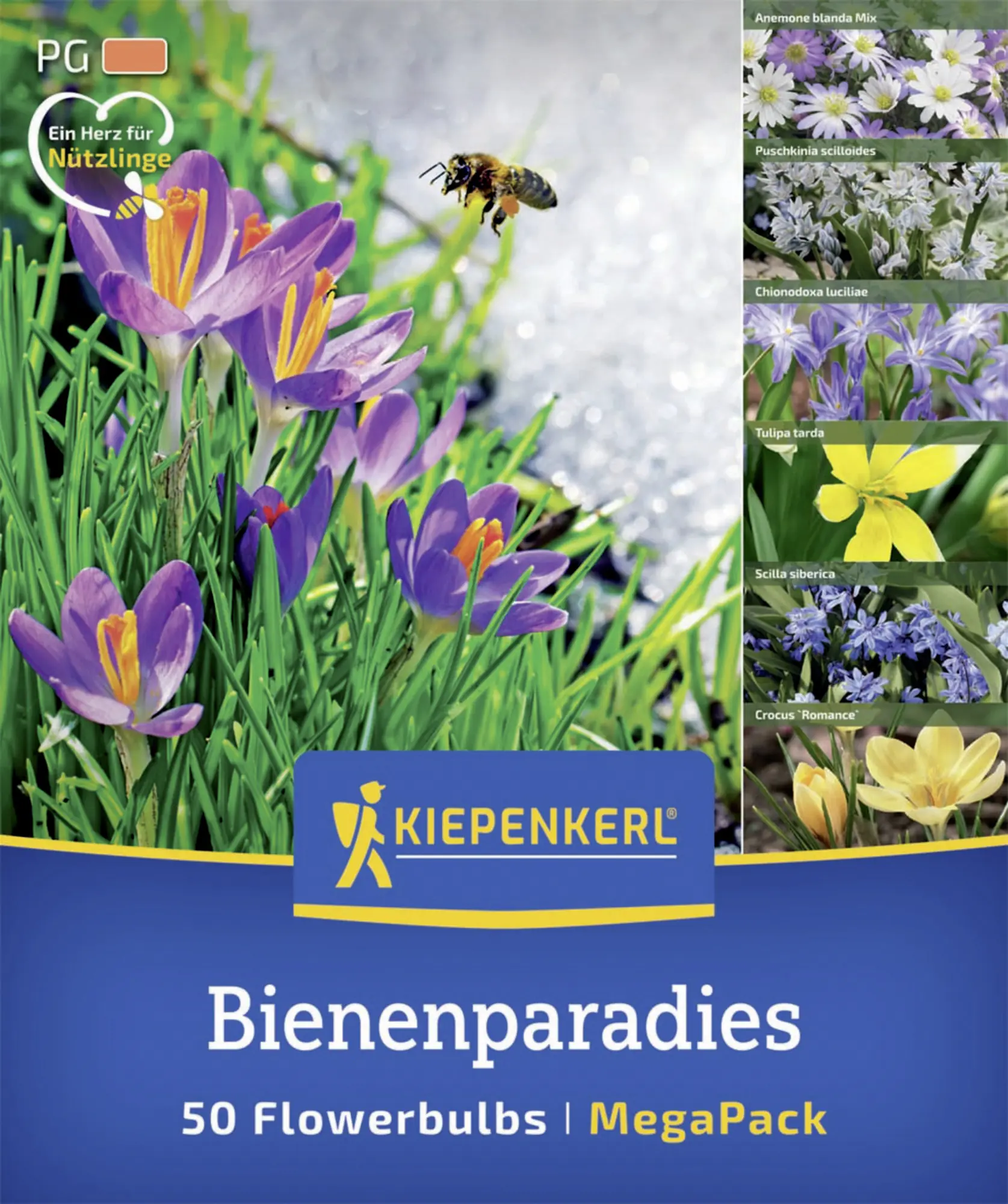 Kiepenkerl Herbstblumenzwiebelmischung Mega-Pack Bienenparadies 50 Stück