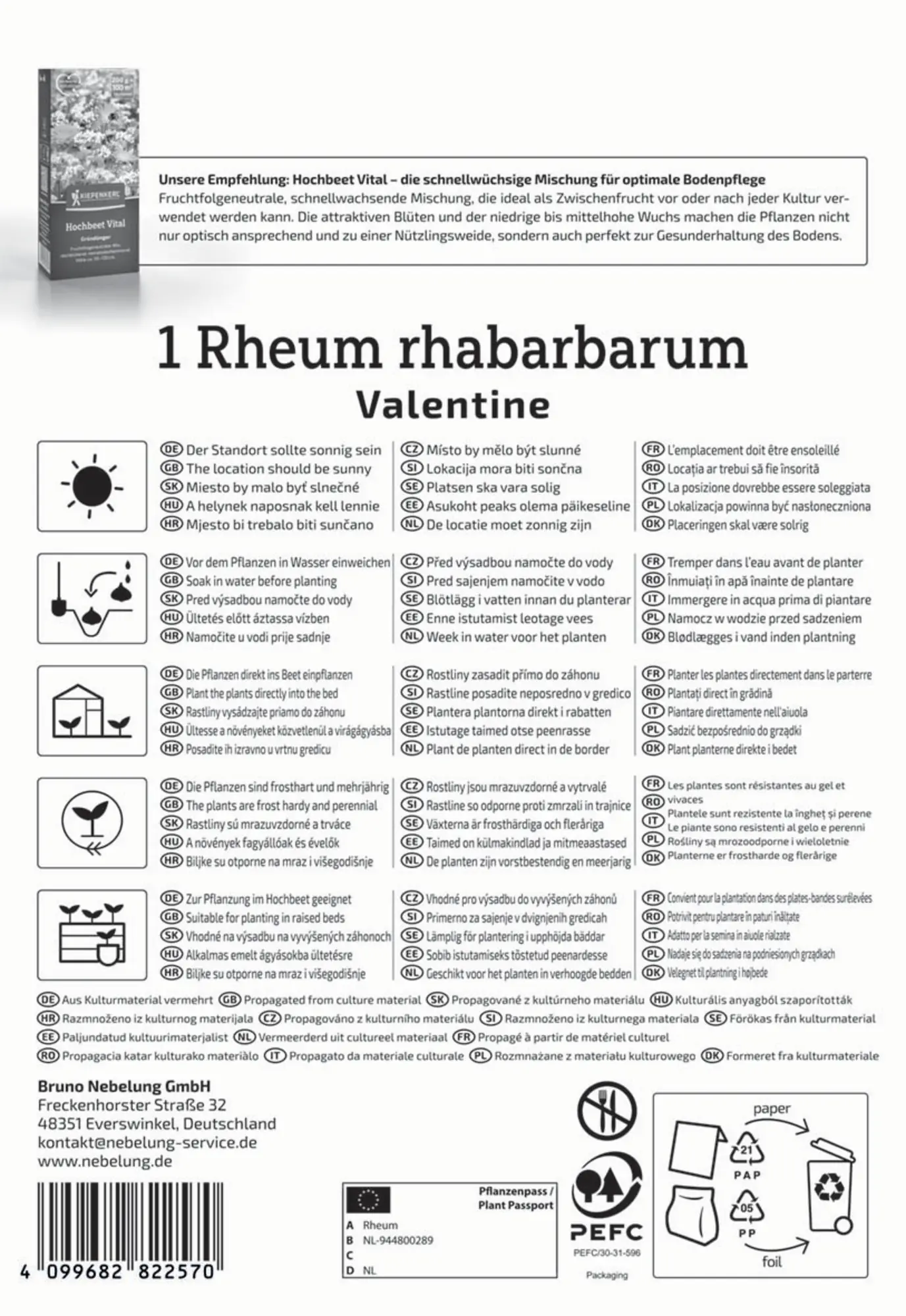Kiepenkerl Pflanzgut Rhabarber Valentine Rheum rhabarbarum 1 Stück