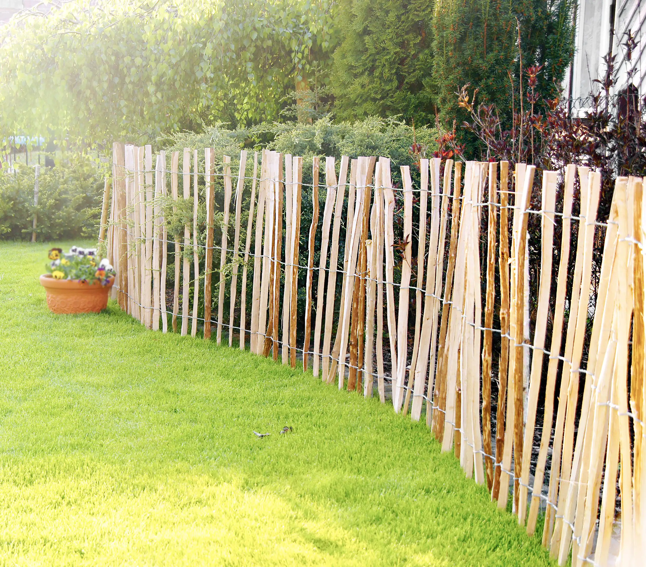 Staketenzaun Mila 60 x 300 cm, gerollt