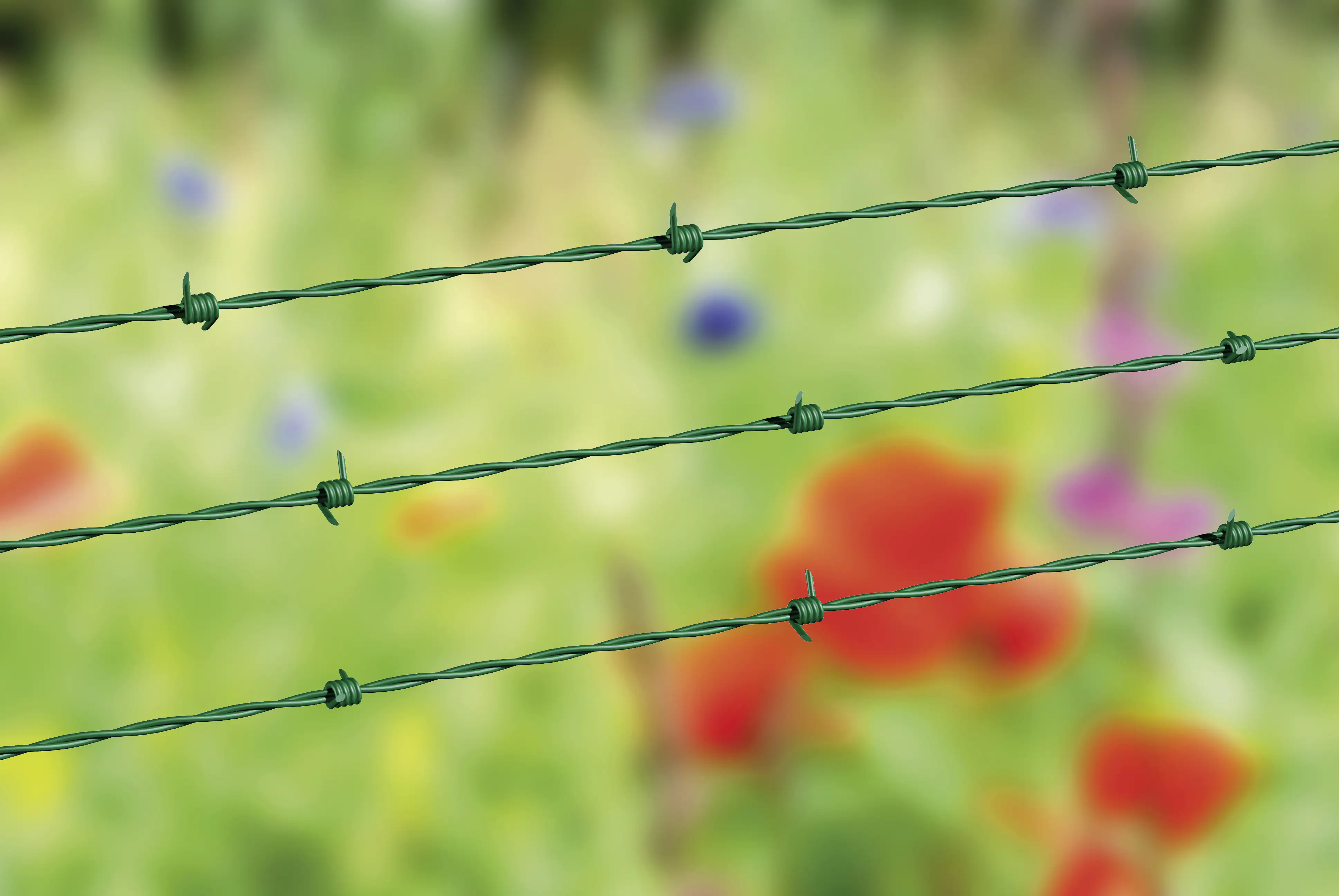 Alberts Stacheldraht 50 m Ø 2 mm grün