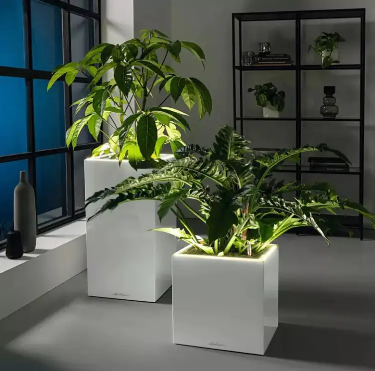 Lechuza Pflanzgefäß Canto Premium 40 LED low anthrazit metallic