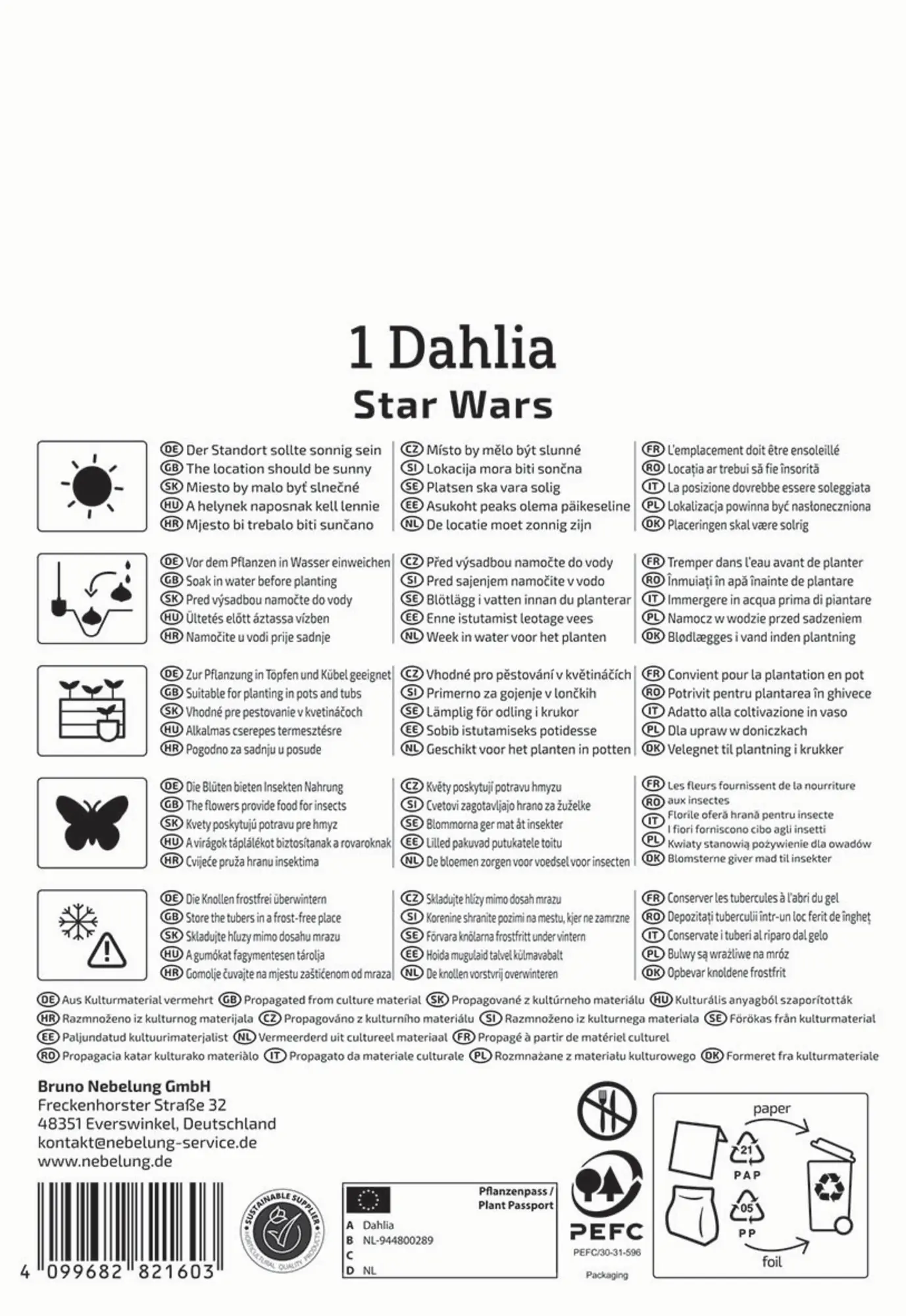 Kiepenkerl Frühjahrsblumenzwiebel Dunkellaubige Beet- & Kübel-Dahlie Star Wars 1 Stück