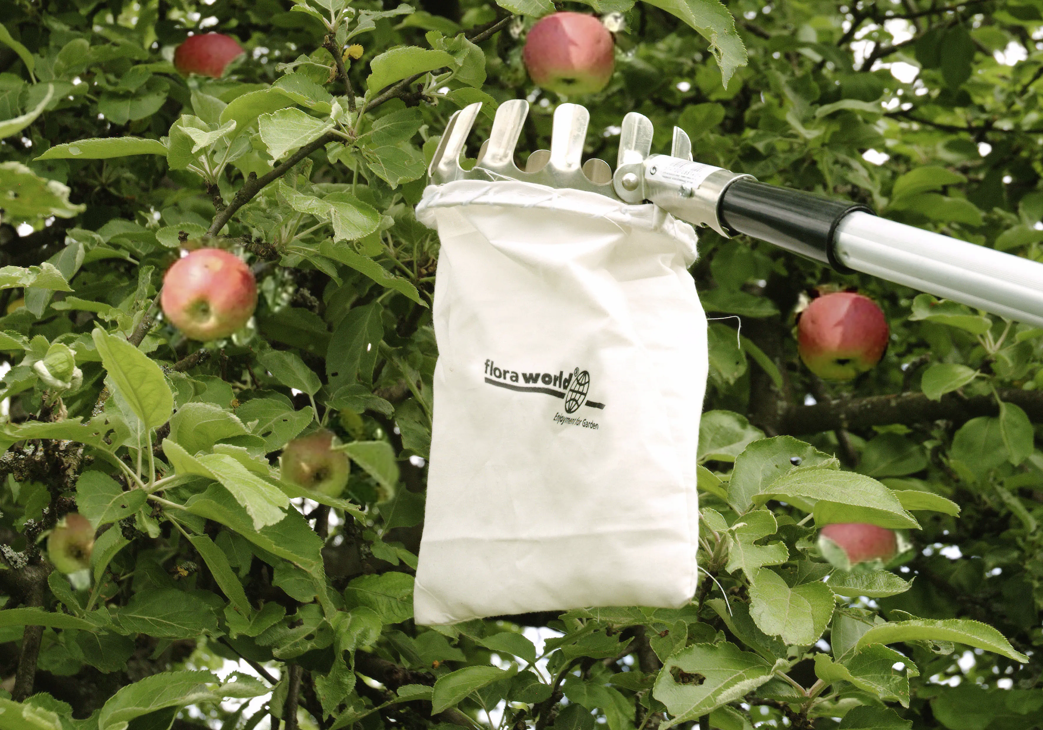 Obstpflücker 175-300 x 13 cm inkl. Teleskopstiel Obstpflücker 175-300 x 13 cm inkl. Teleskopstiel