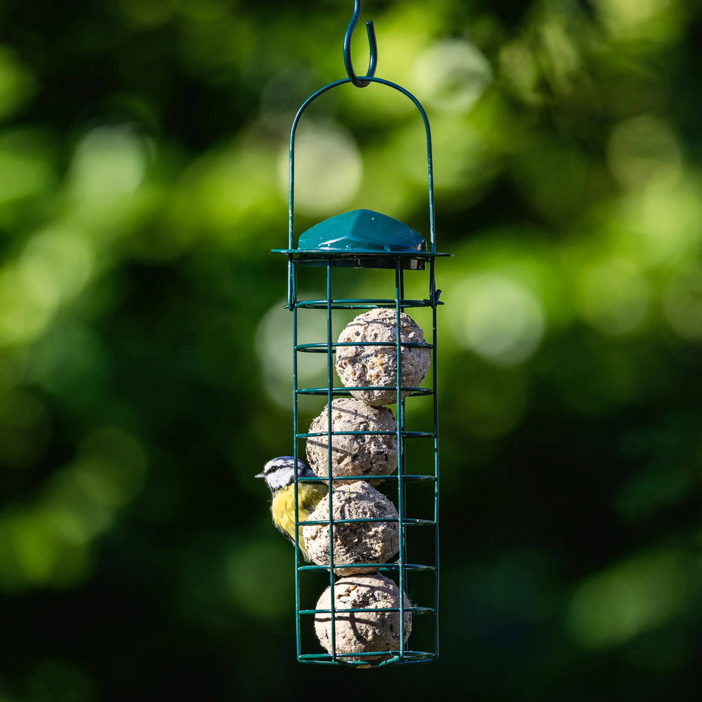 Meisenknödel Säule grün Ø 10 cm, Höhe 28 cm