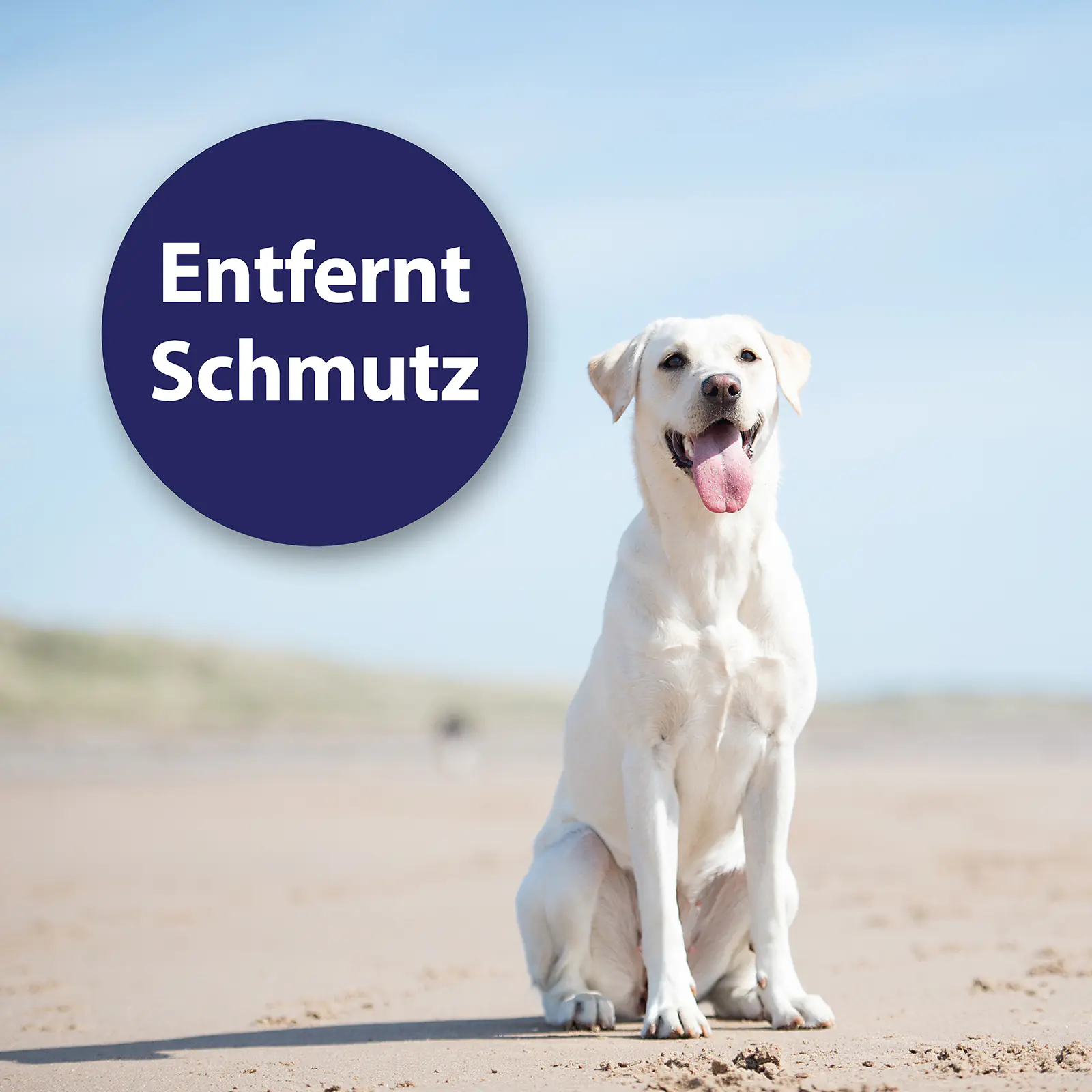 Canosept Ohrpflege Fingerpads für Hunde 50 Stück Canosept Ohrpflege Fingerpads für Hunde 50 Stück