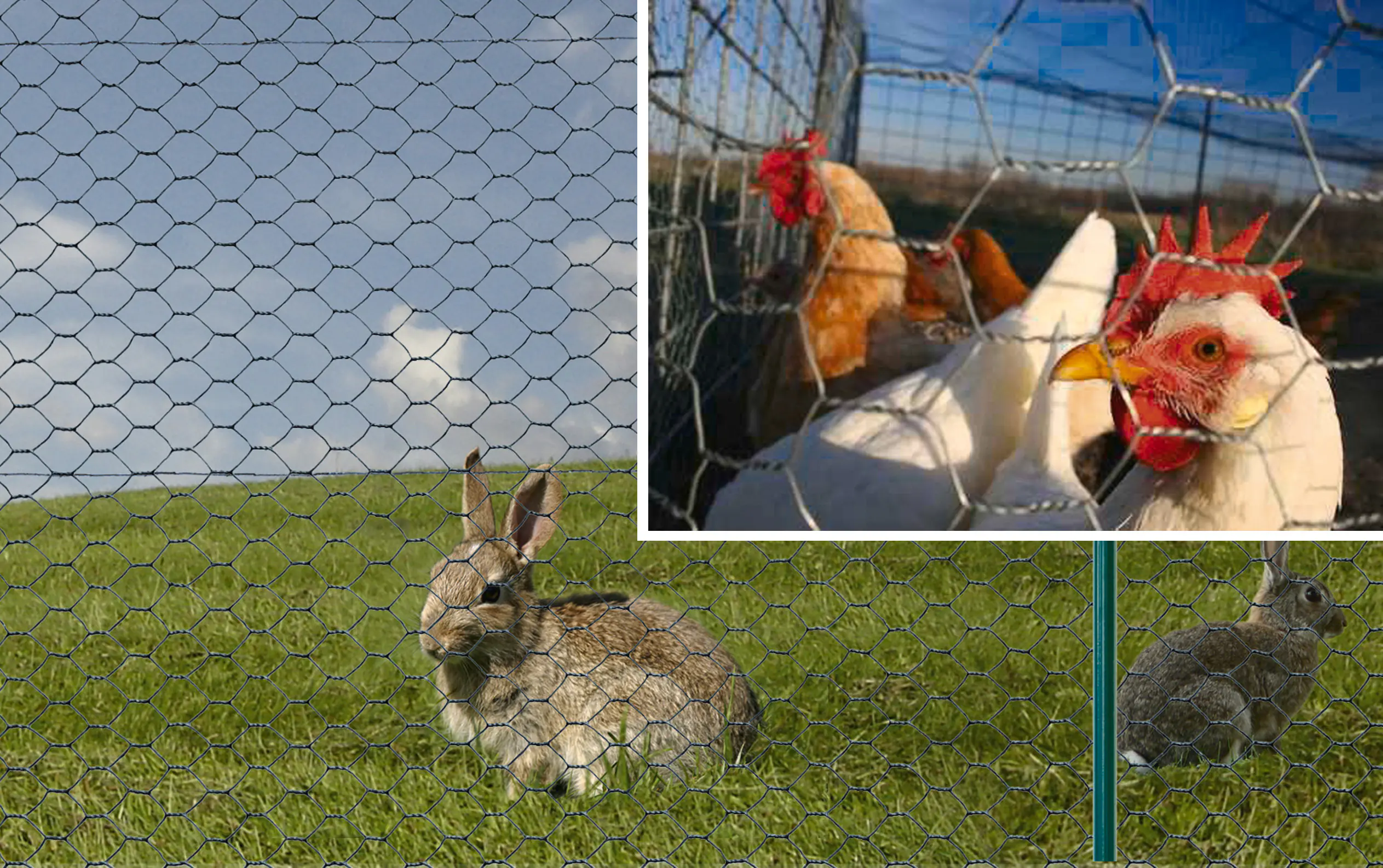 Floraworld Maschendraht-Zaun 25 m x 50 cm 13 mm Maschenweite verzinkt