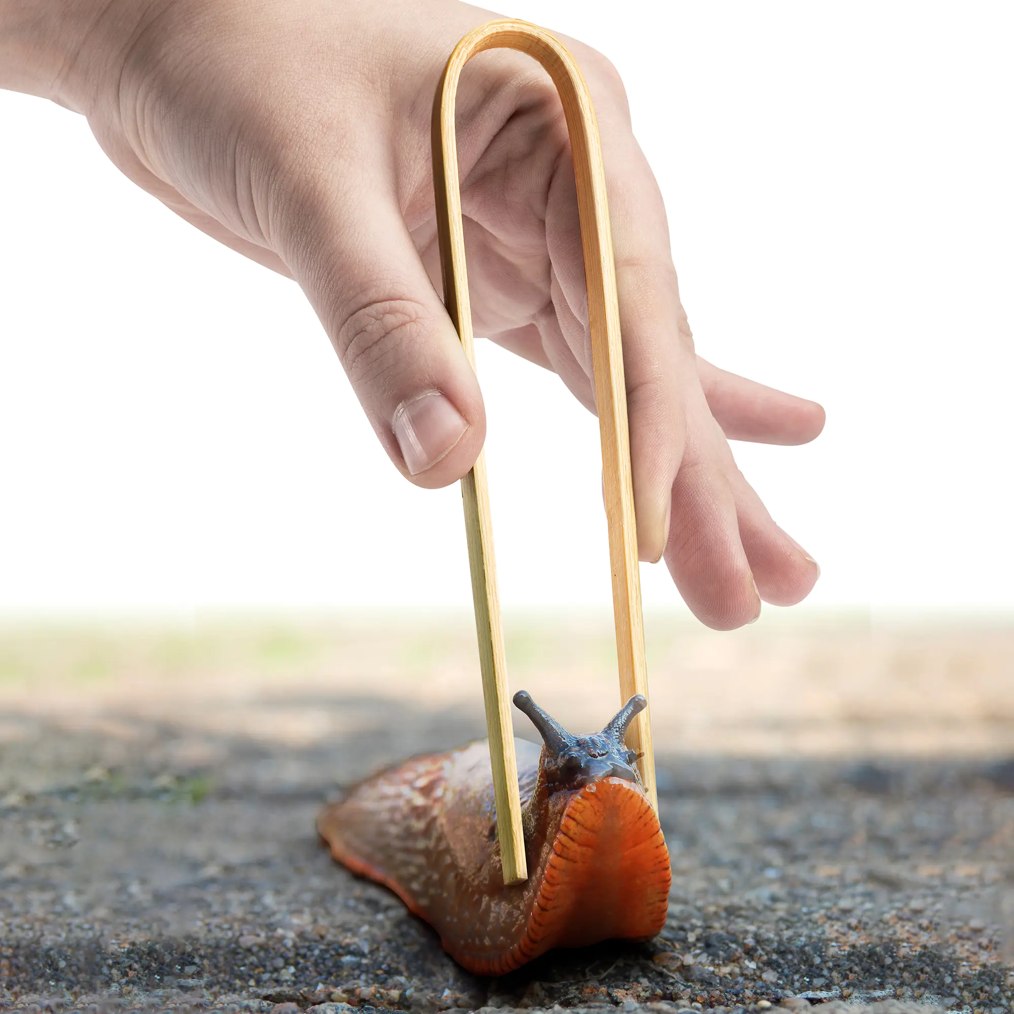 Gardigo Schnecken-Zange Bambus 4er Set