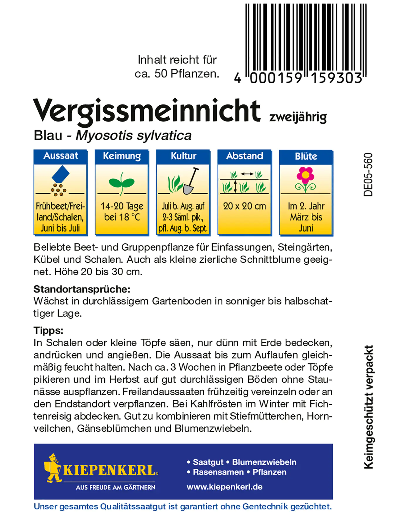 Kiepenkerl Vergissmeinnicht Blau
