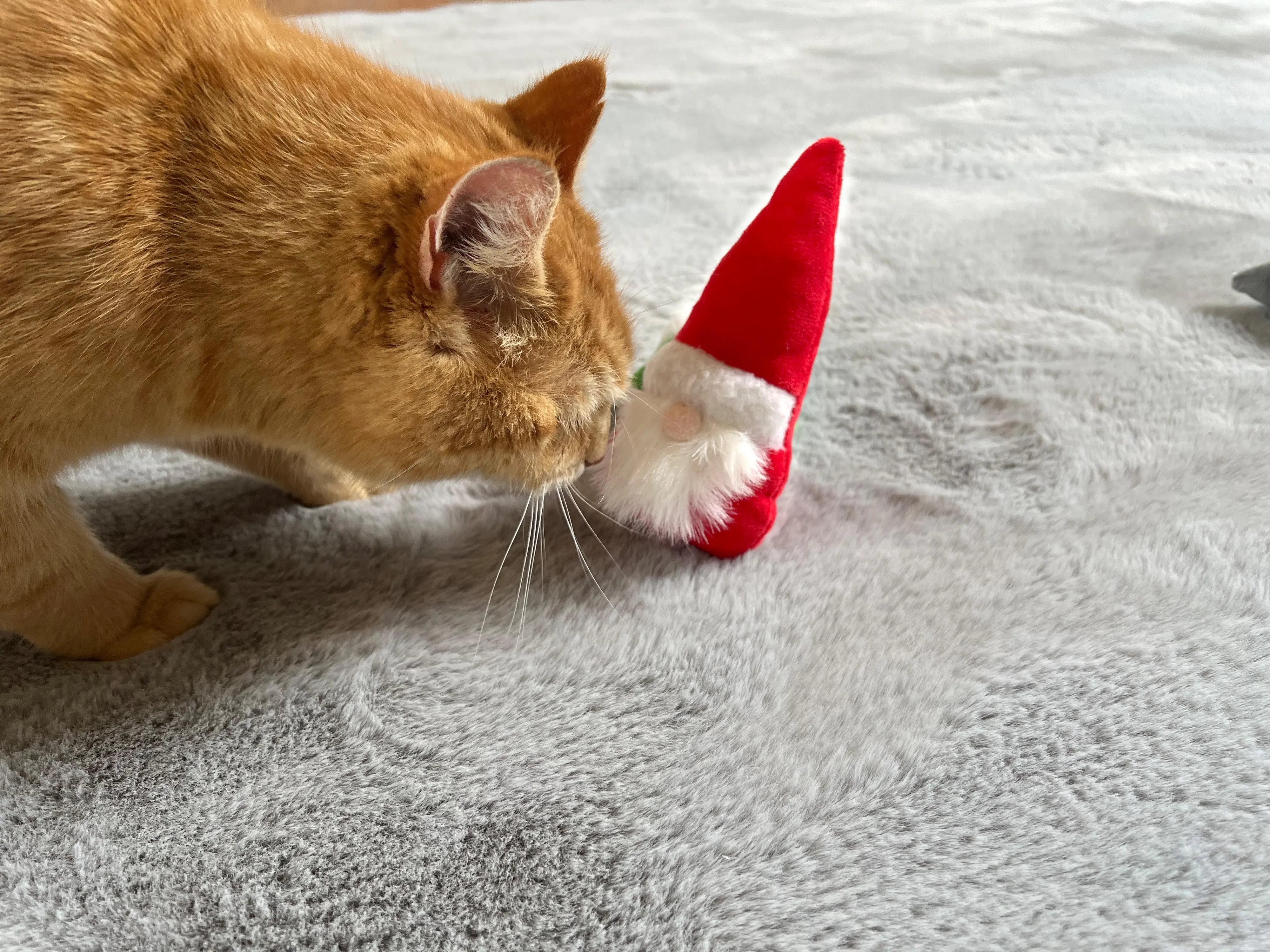 Aumüller Katzenspielzeug Weihnachtswichtel 15 cm  - 3 Stk. Aumüller Katzenspielzeug Weihnachtswichtel 15 cm  - 3 Stk.