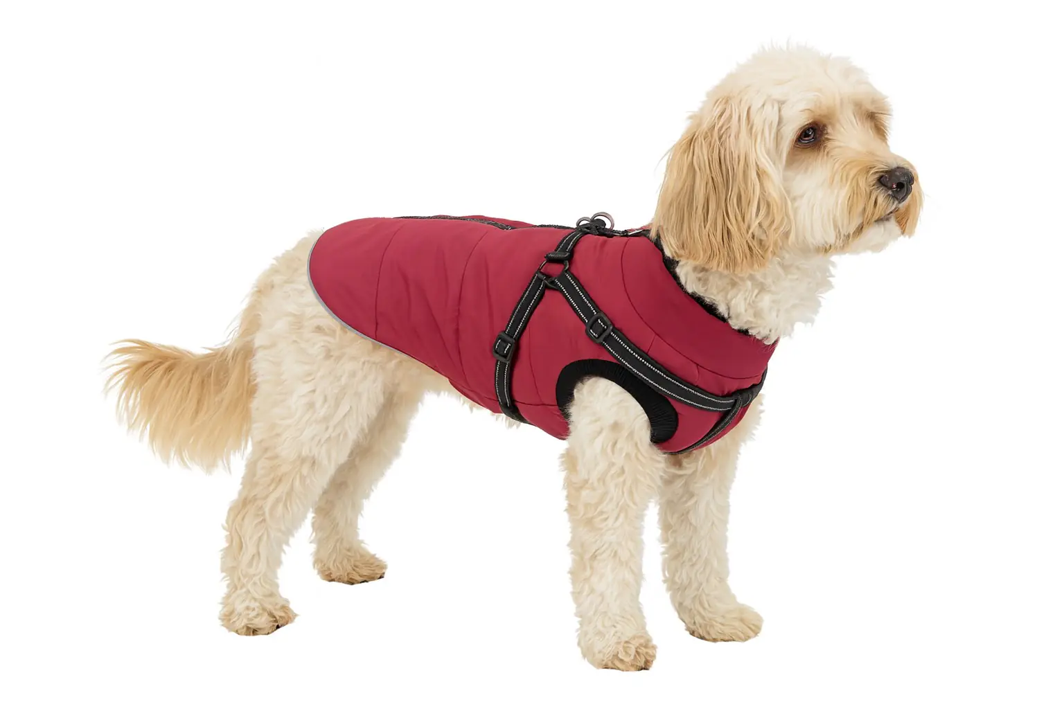 Nobby Hundemantel Salus 2 in 1 bordeaux