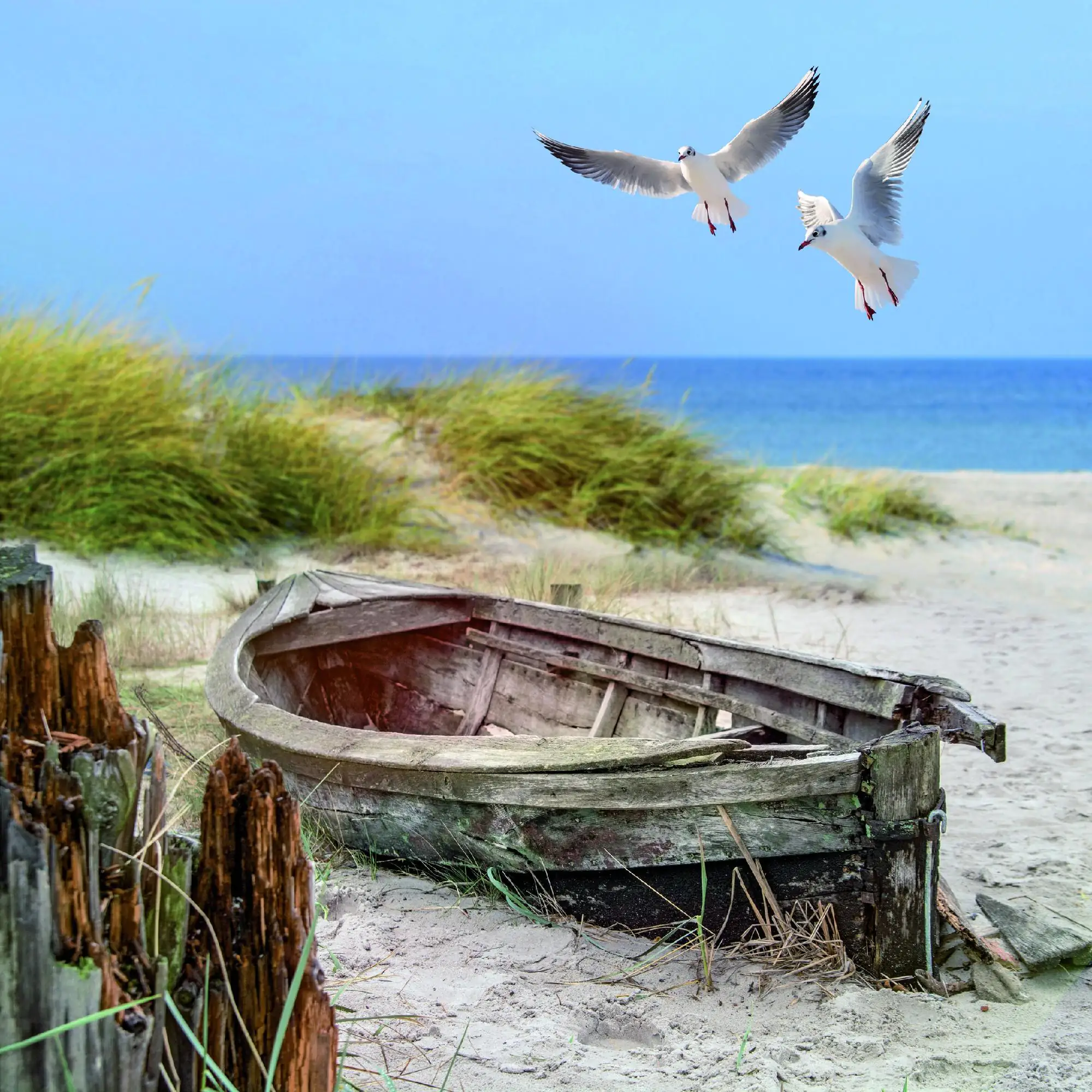 Deco-Block Bild - Boot mit Möwen 39 x 39 cm