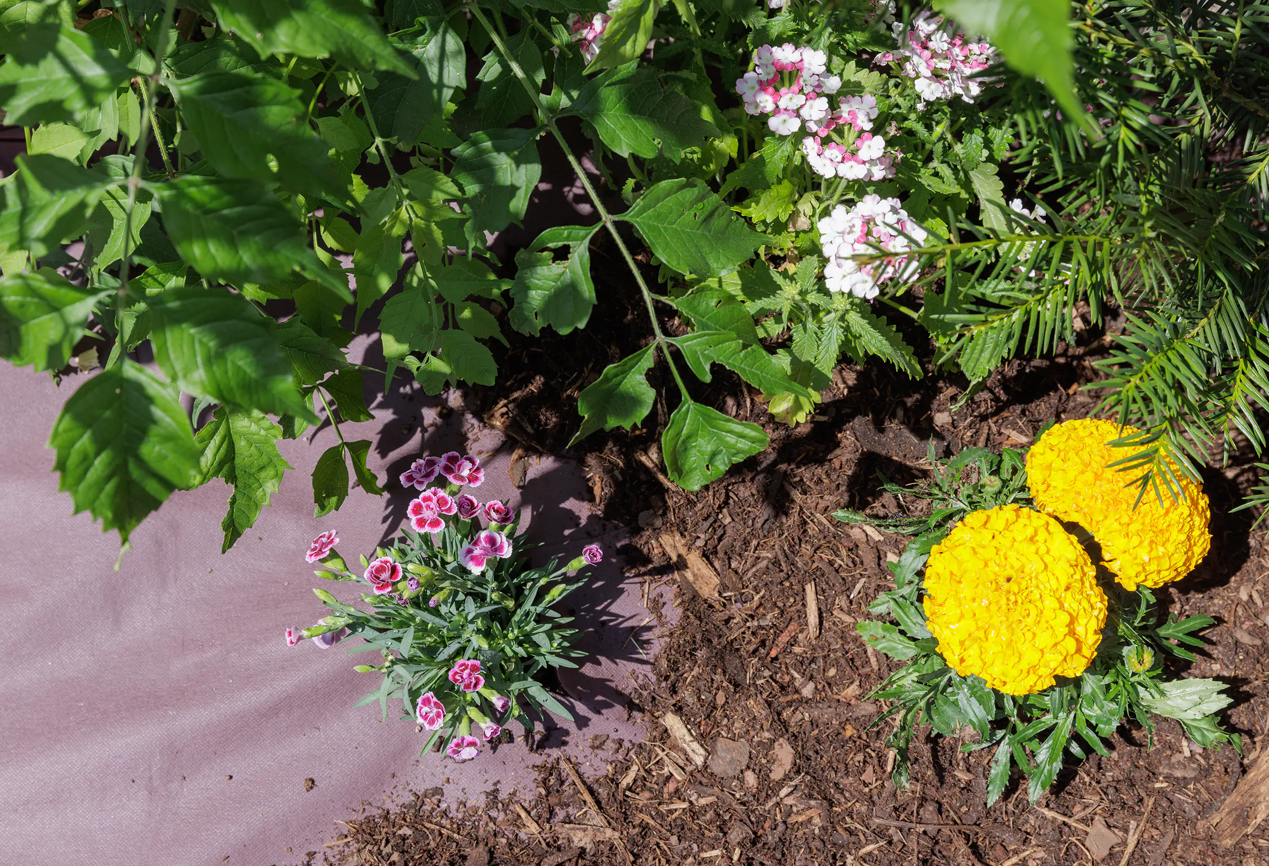 TrendLine Rindenmulchvlies 1,5 x 20 m TrendLine Rindenmulchvlies 1,5 x 20 m