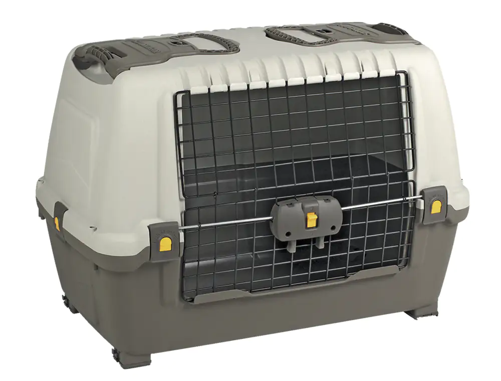 Nobby Autobox Skudo Car grau